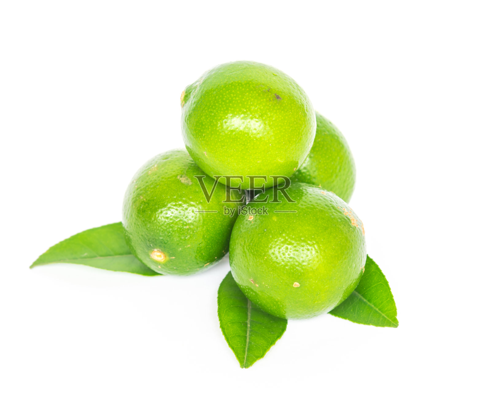 工作室拍摄了四个亚洲绿色酸橙，叶子孤立在白色上照片摄影图片