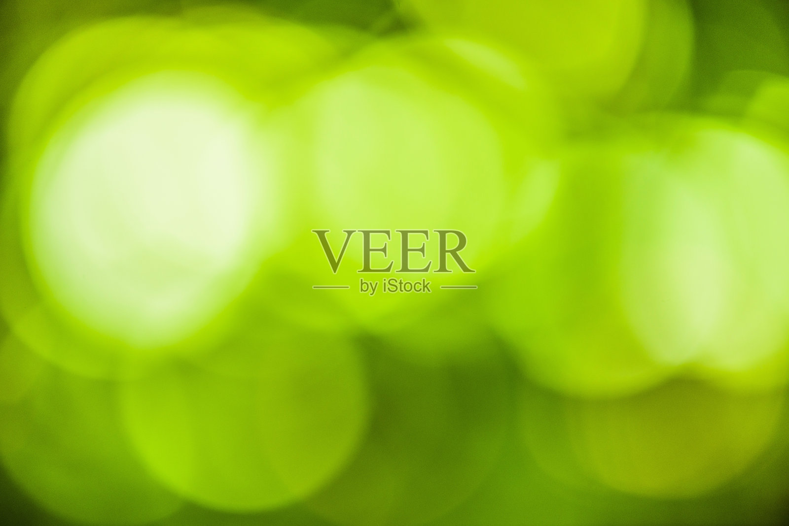 自然绿树抽象散焦为背景照片摄影图片