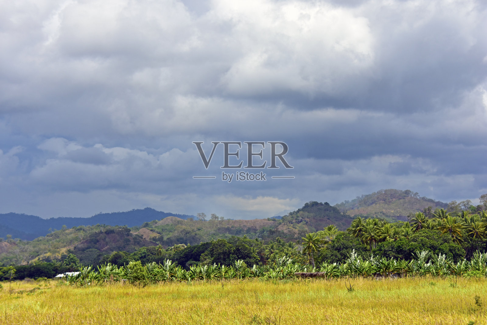 风景在巴布亚新几内亚的乡村道路照片摄影图片