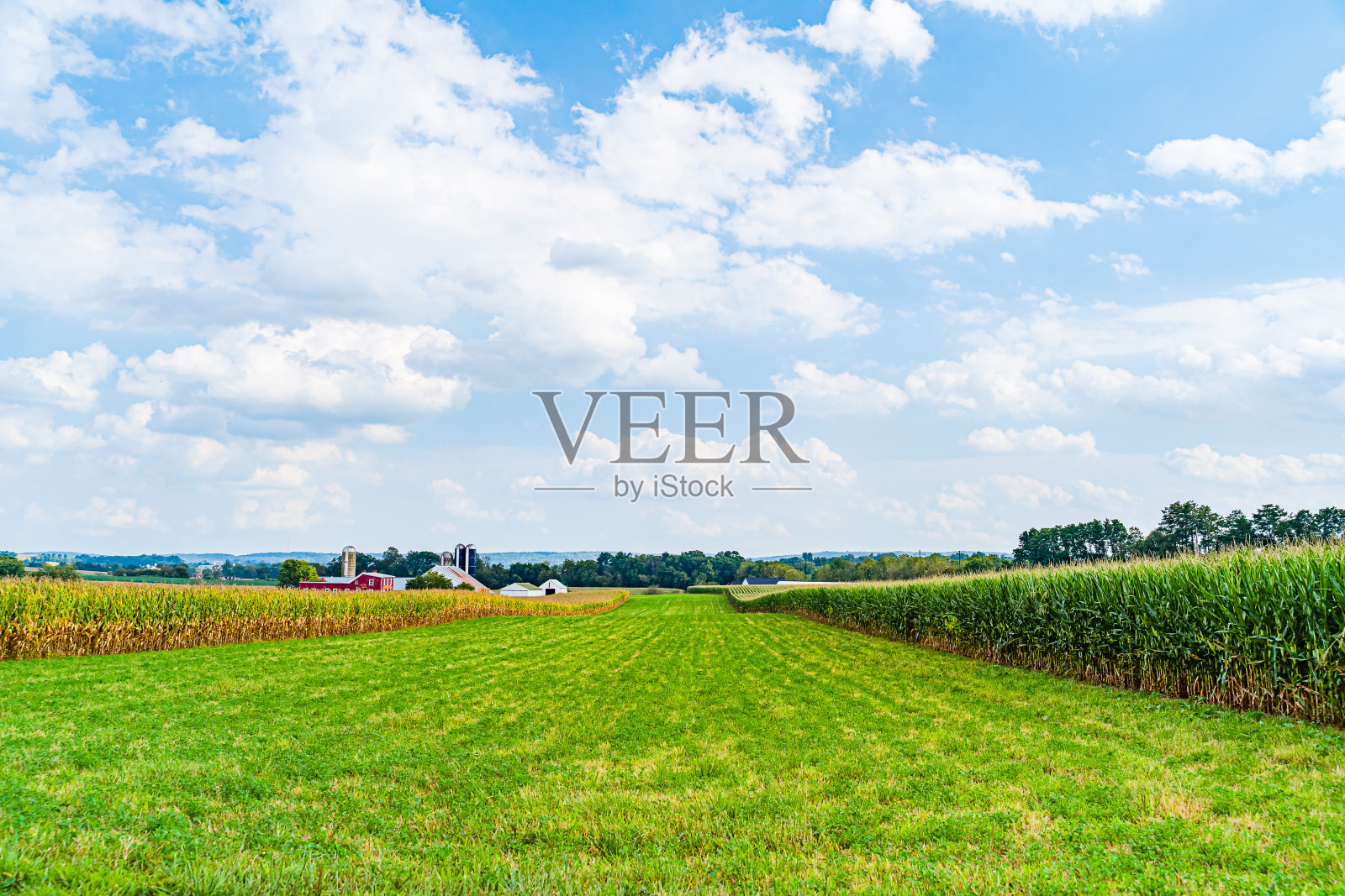 美国宾夕法尼亚州兰开斯特的阿米什乡村农场照片摄影图片