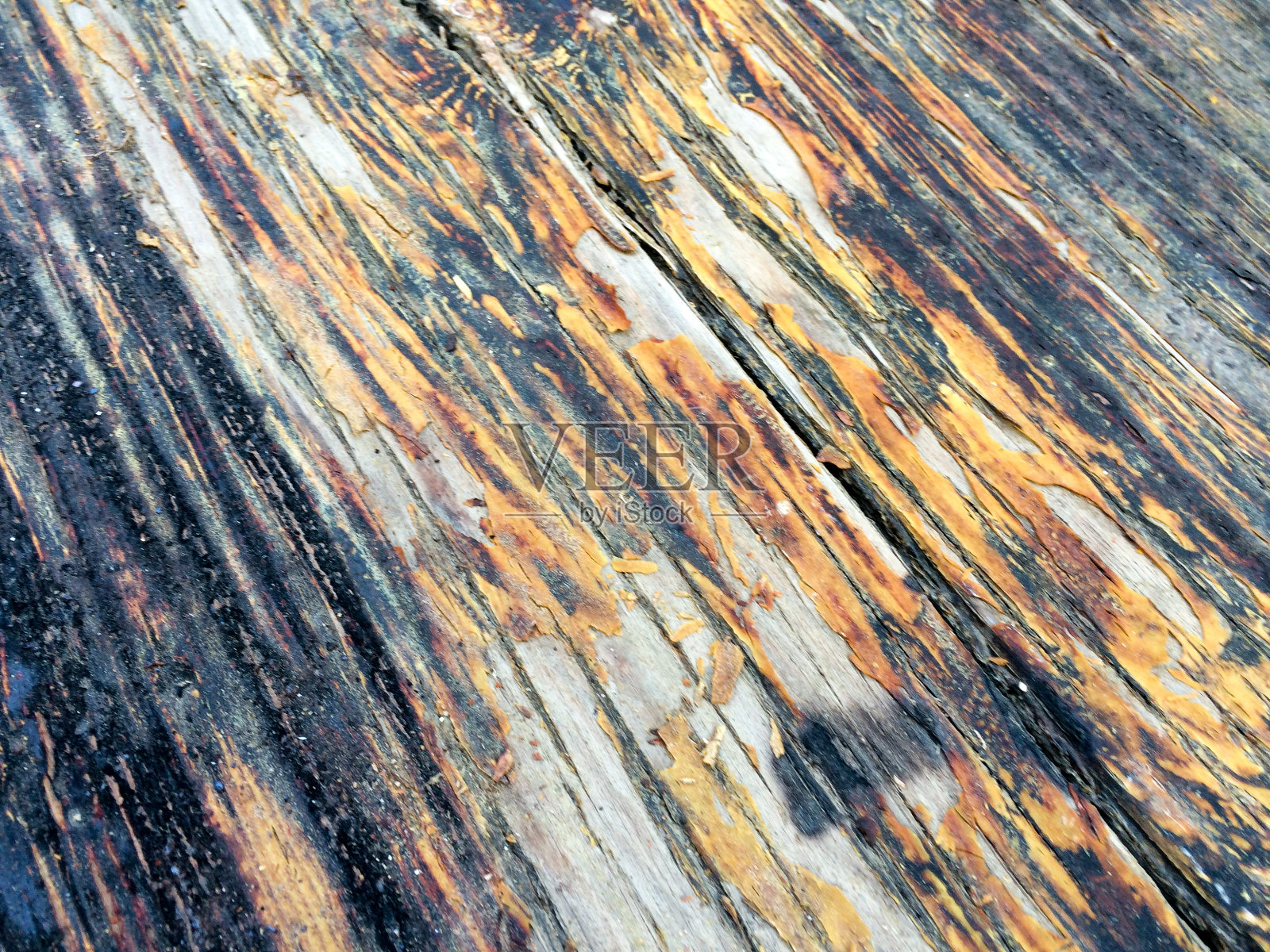 低角度的乡村背景照片摄影图片