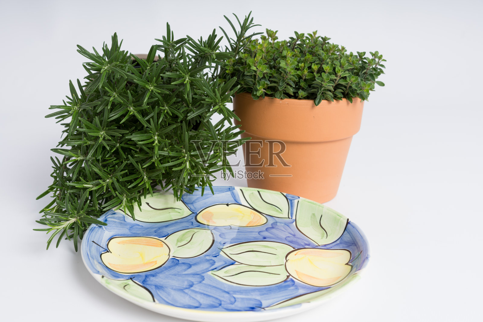 迷迭香和一壶牛至与装饰盘子排列照片摄影图片