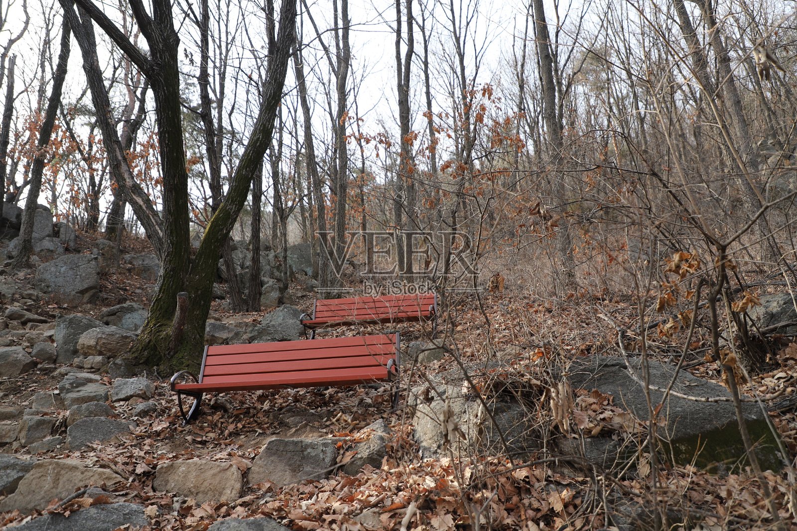 Chunggae先生，Kyungkido先生照片摄影图片