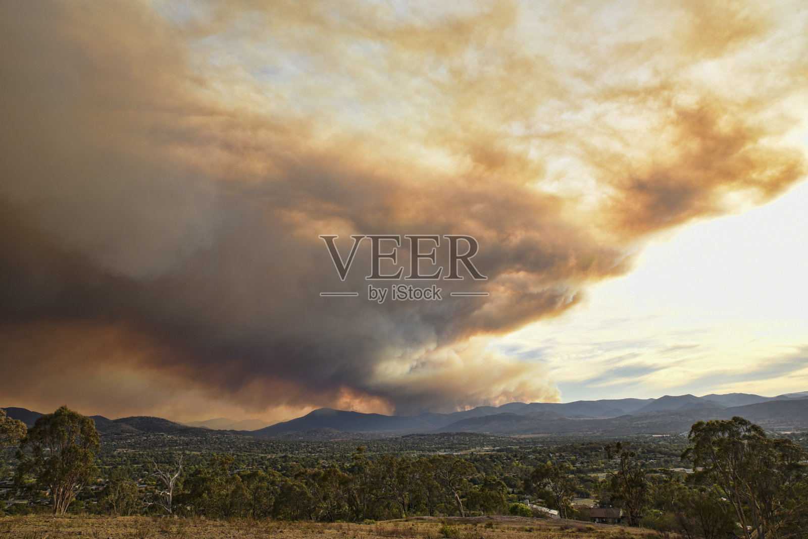 布林达贝拉山的大火正在失控地迅速蔓延。他们正在接近堪培拉南部的郊区。一团巨大的烟云在天空中蔓延。照片摄影图片