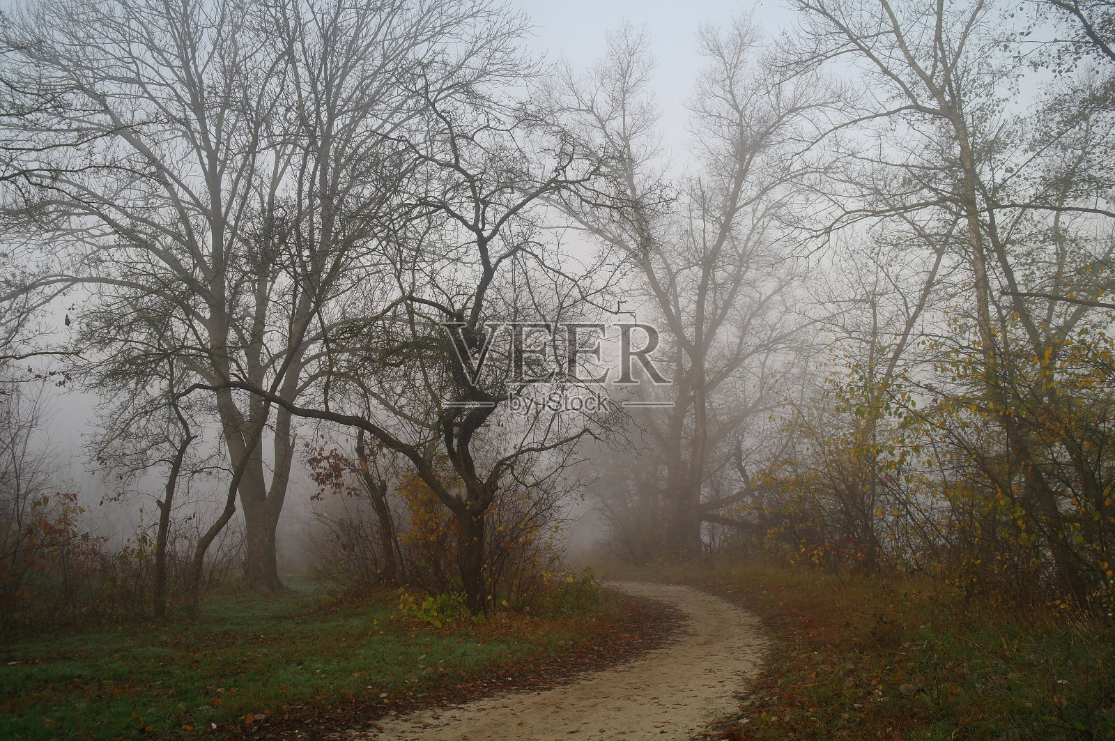 秋天的乡间小路上有雾照片摄影图片