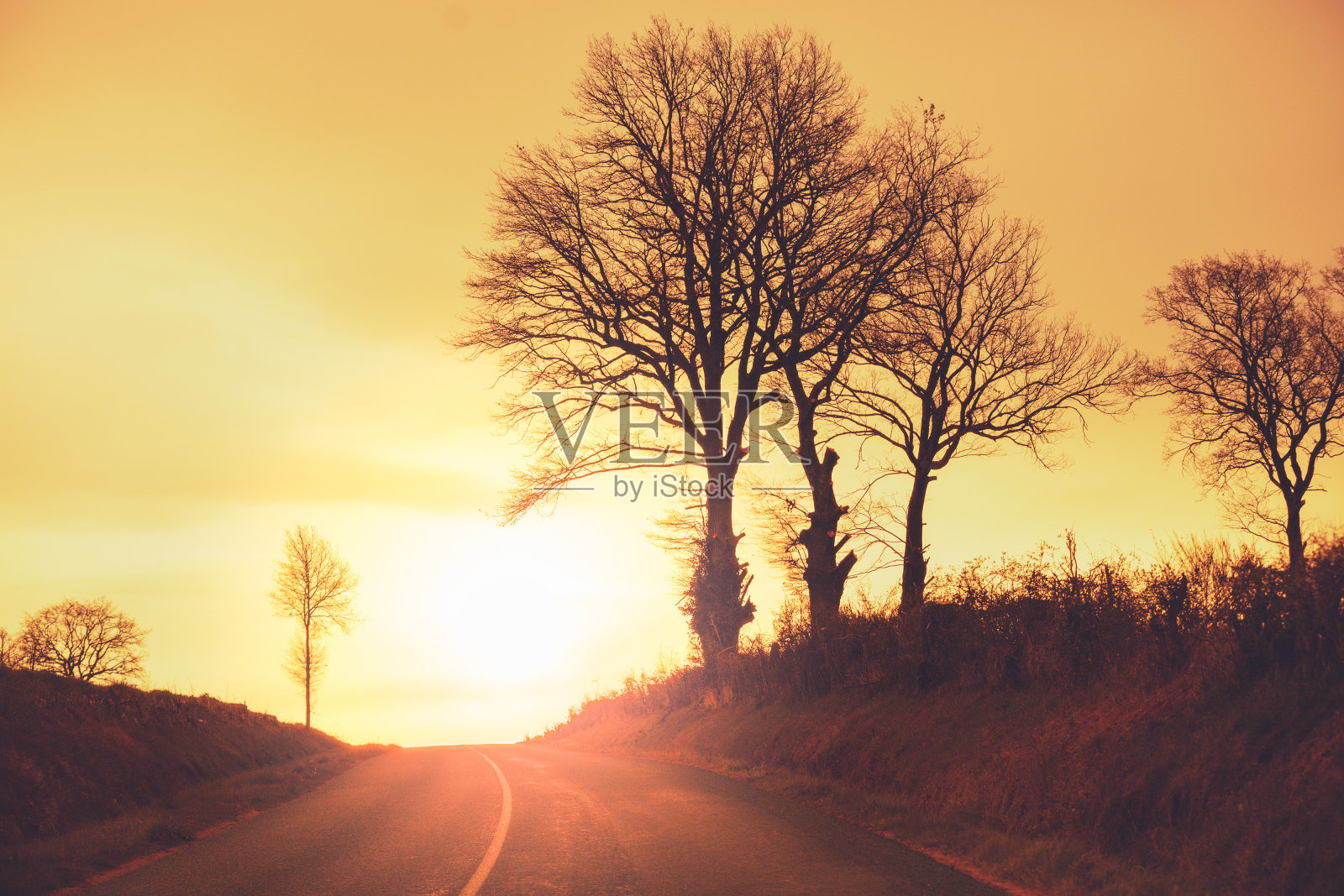 高速公路在初秋的早晨。金色天空下树木的剪影照片摄影图片