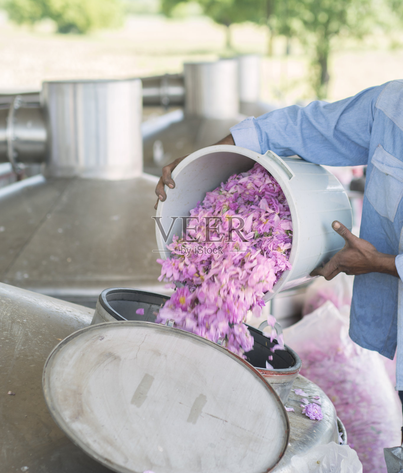 在蒸馏容器中浇注精选液。照片摄影图片