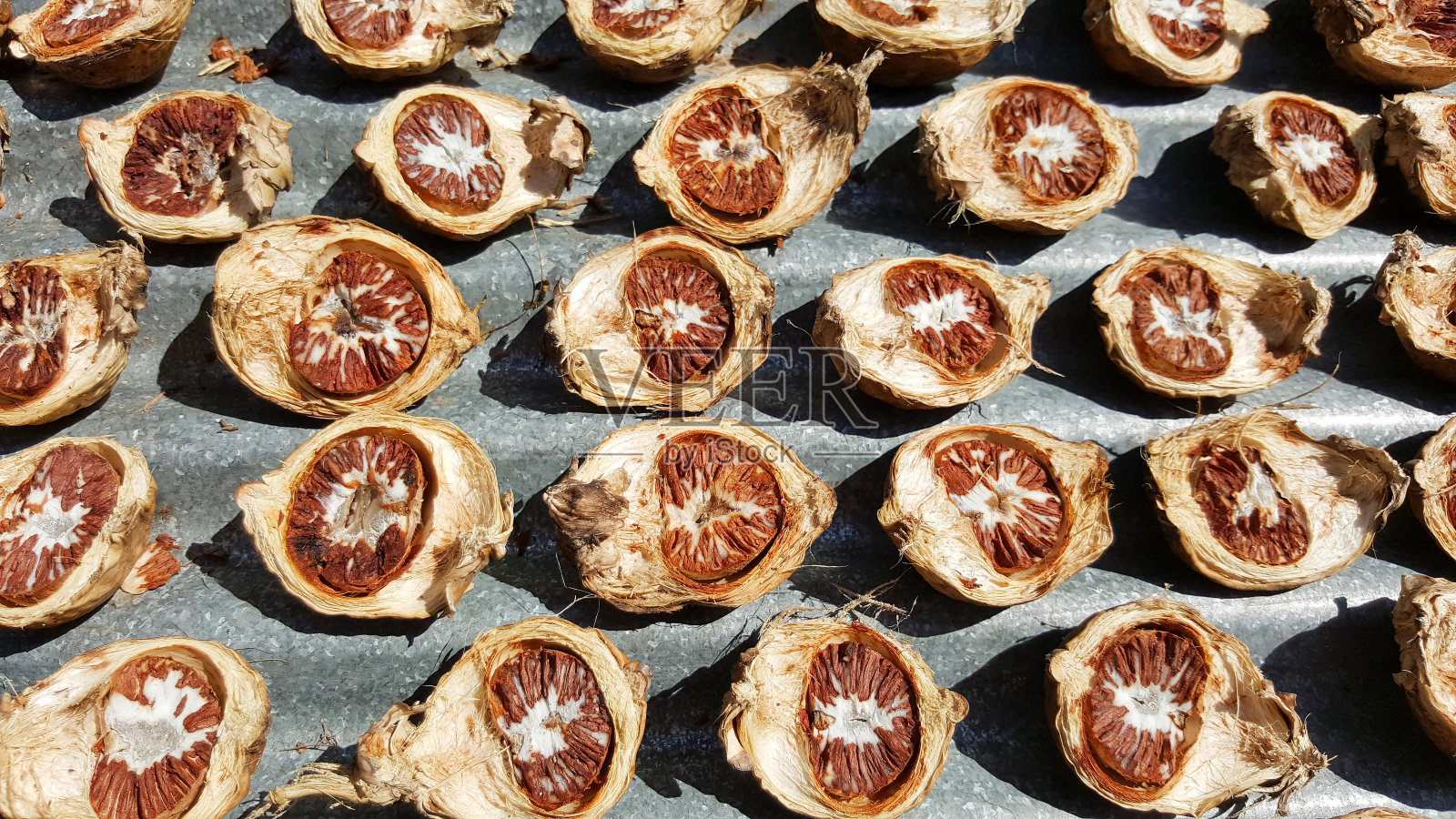 特写槟榔干果，槟榔，泰国照片摄影图片