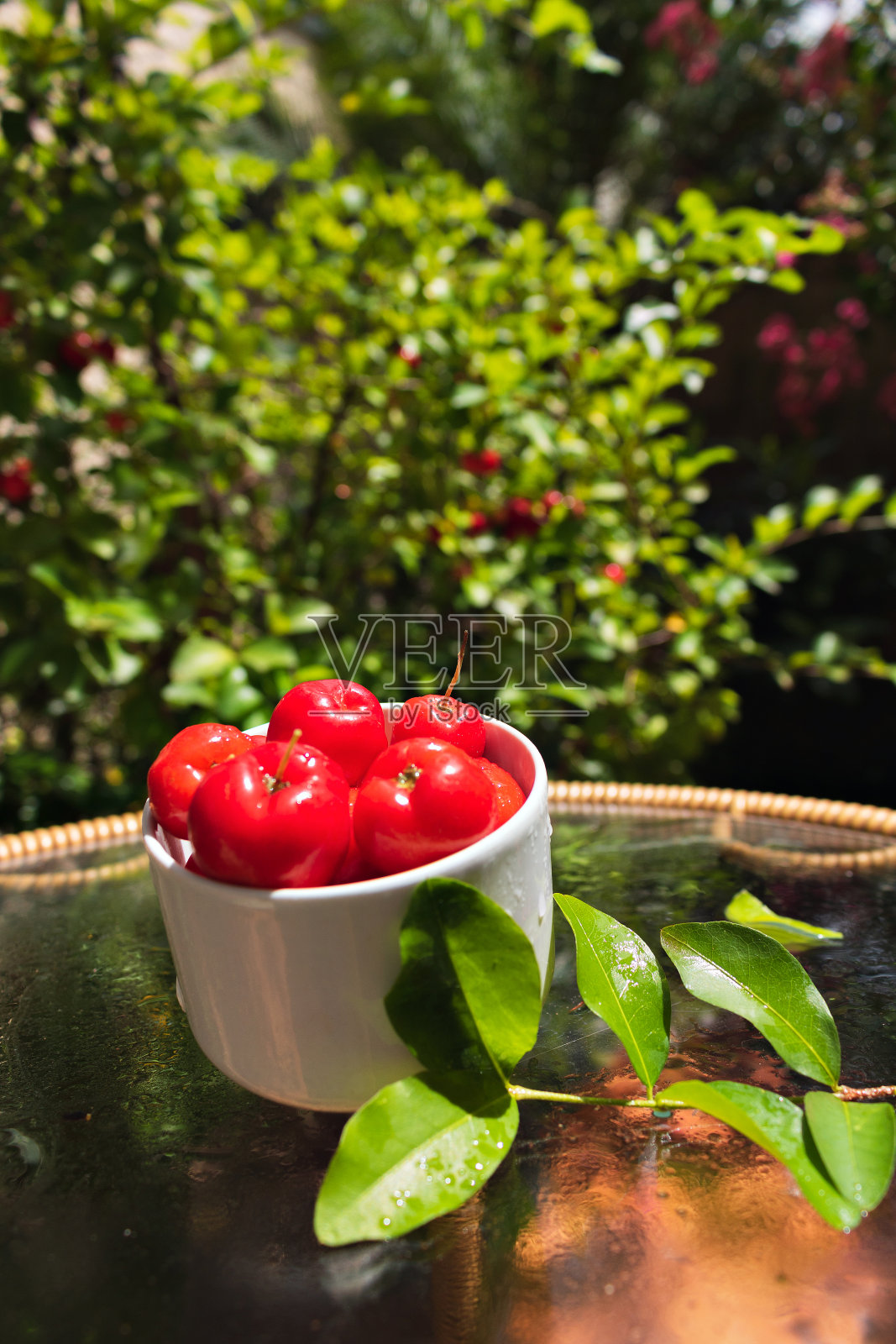 针叶水果放在餐桌上的碗上，是典型的巴西水果概念形象。照片摄影图片