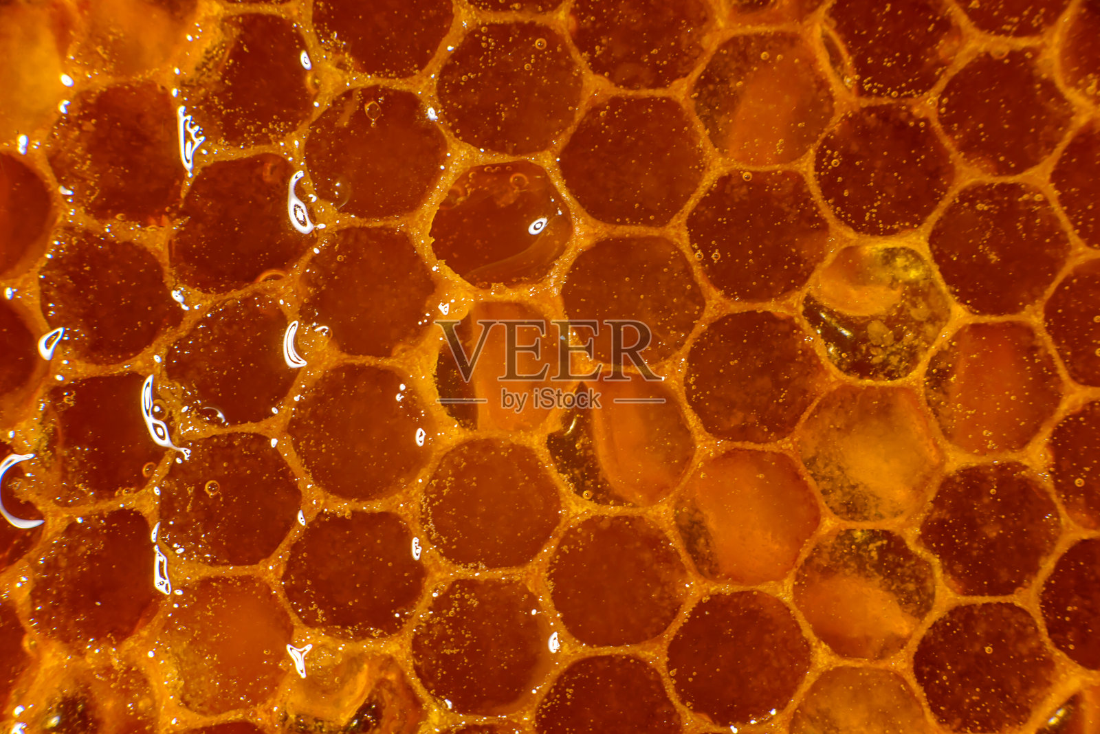 蜂蜜特写。琥珀色的蜂蜜在蜂巢里。透明的蜂蜜顺着蜂窝流下照片摄影图片