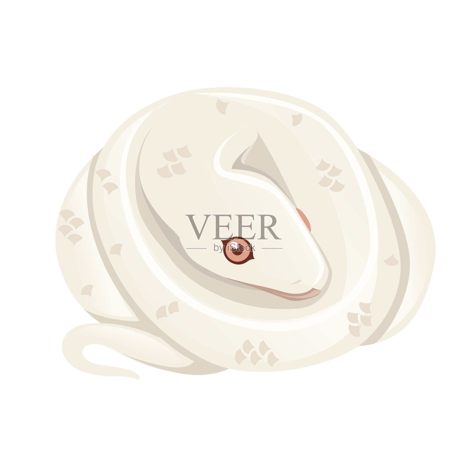 白化蛇卡通动物设计平面矢量插图孤立在白色背景设计元素图片