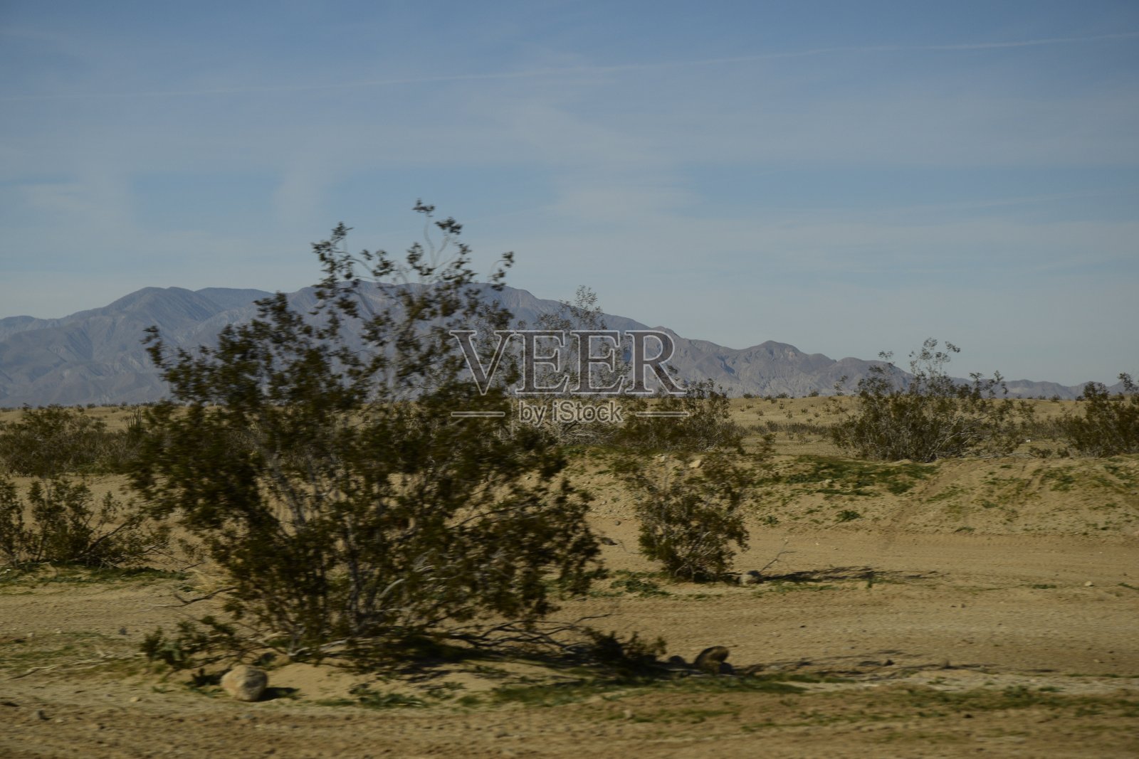 灌木被广阔的沙漠包围，背靠高山和朦胧的蓝天照片摄影图片