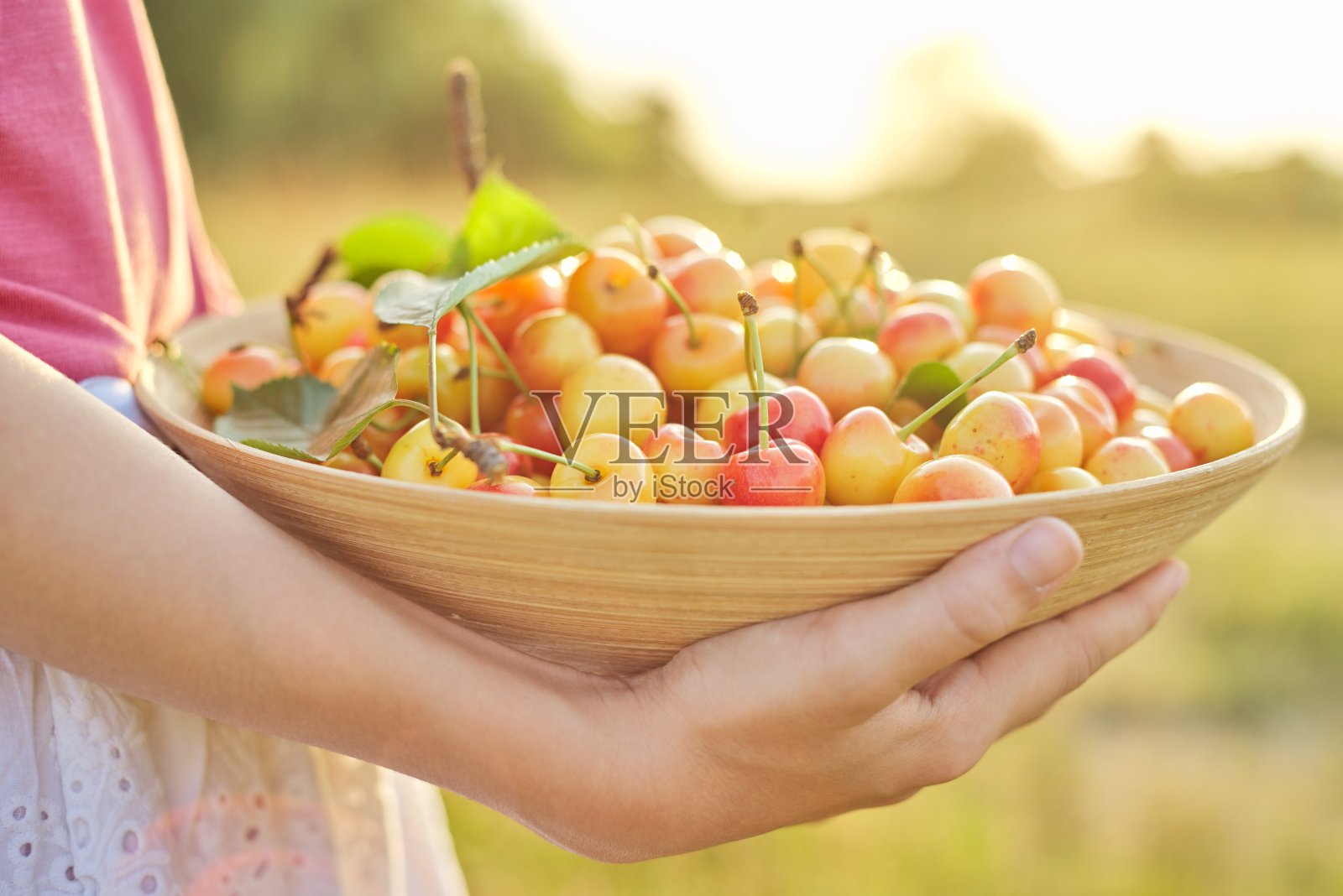 女孩手中的碗里装着新鲜的黄色甜樱桃照片摄影图片