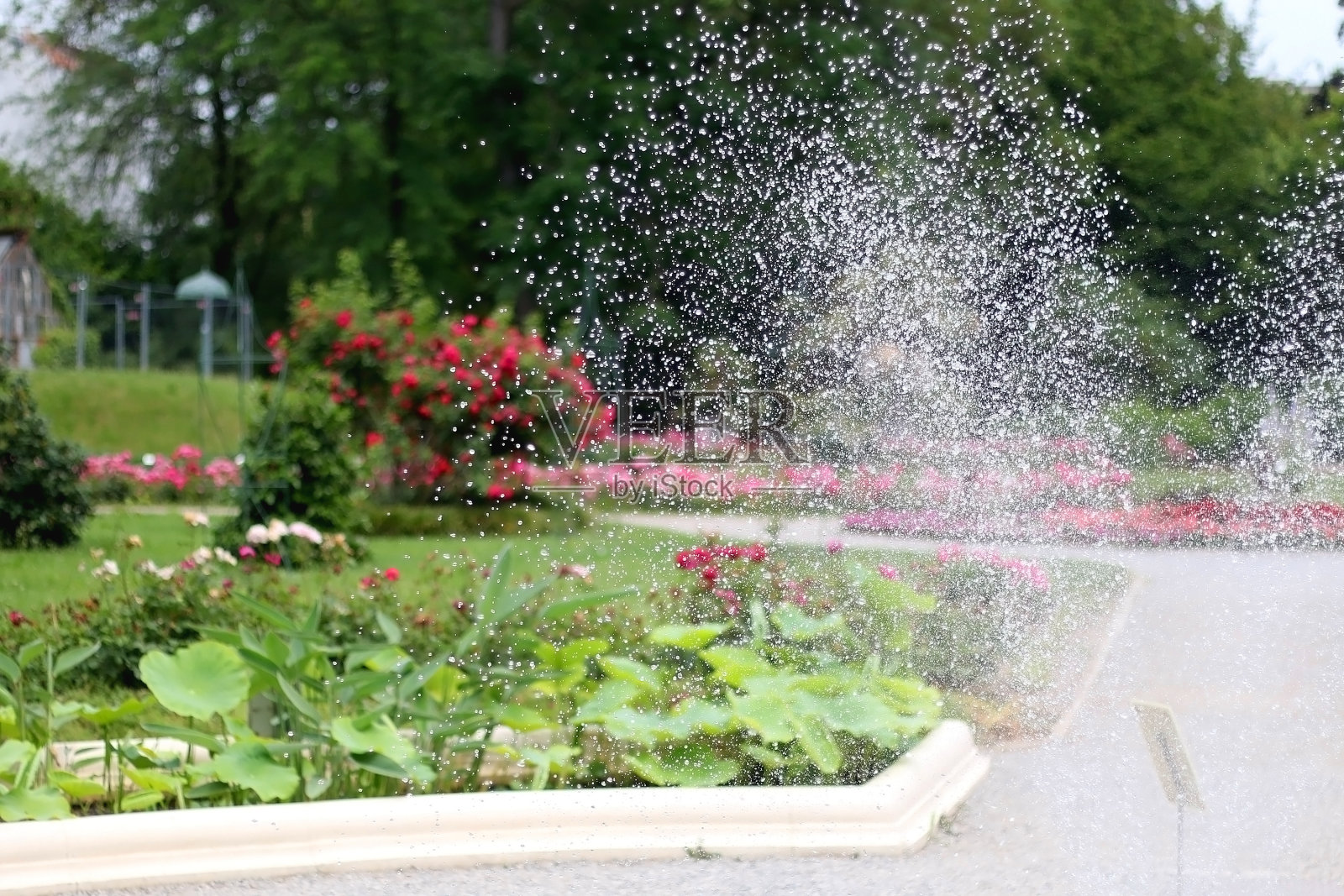 植物园照片摄影图片
