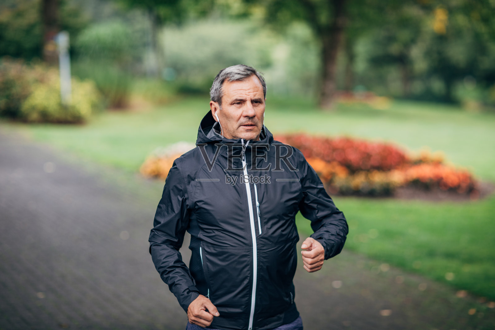 在公园里晨跑照片摄影图片