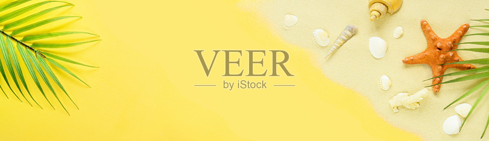 夏日热带度假横幅。棕榈叶，沙滩上的贝壳和黄色的背景。夏天旅游的背景。副本的空间。照片摄影图片