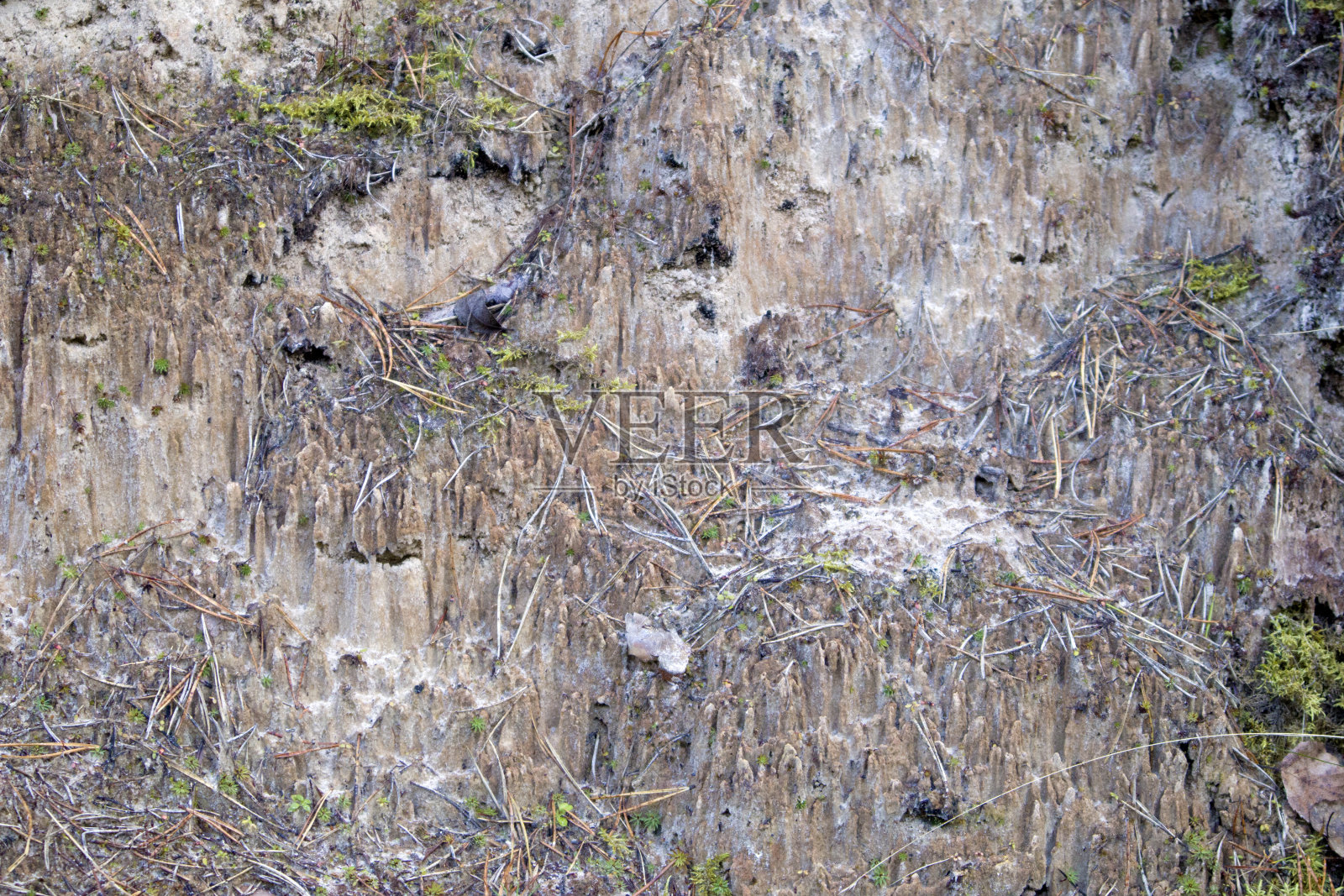 沙土剖面，浮雕垂直切割特写照片摄影图片