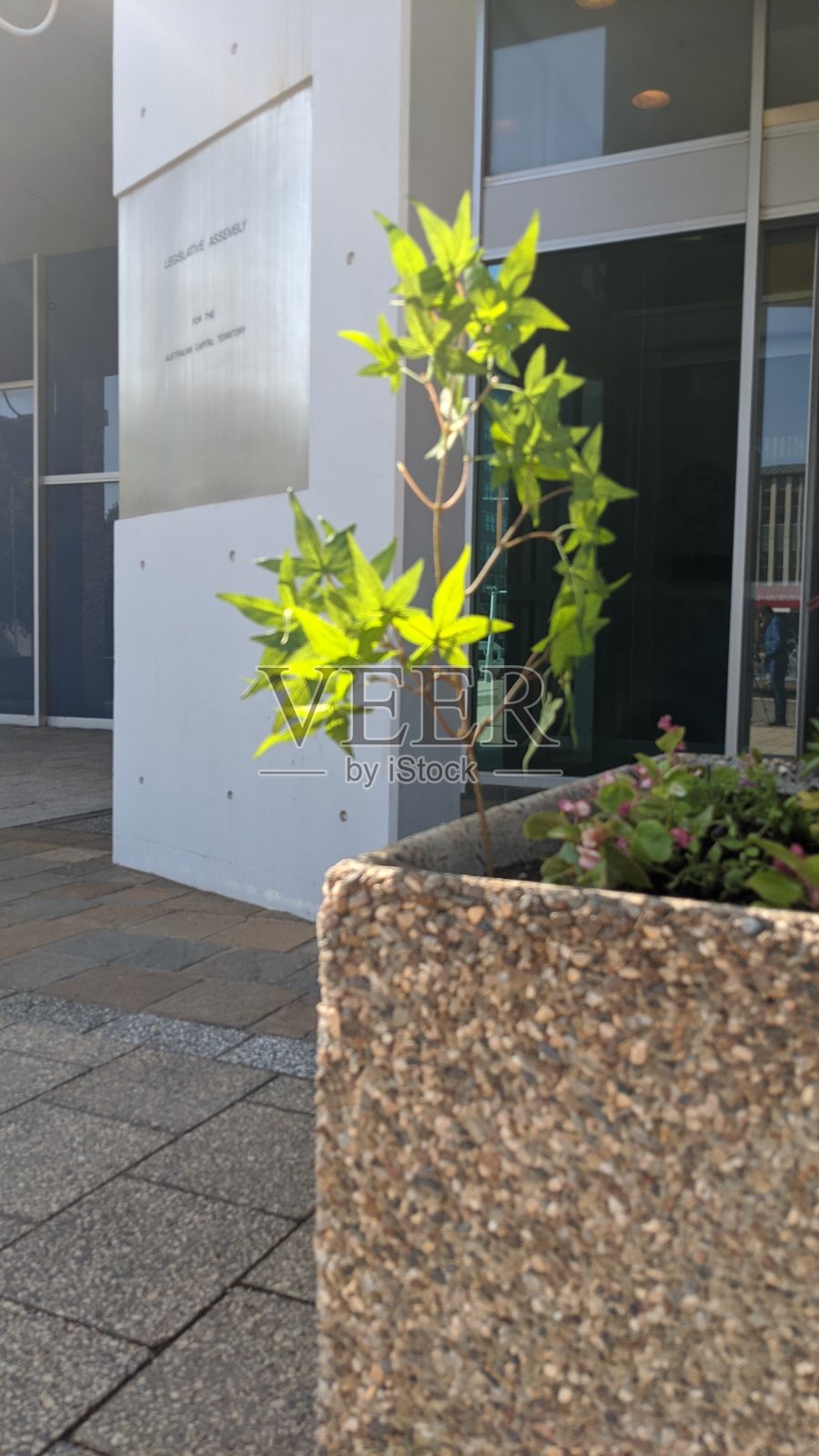 ACT立法大会-新的大麻法照片摄影图片