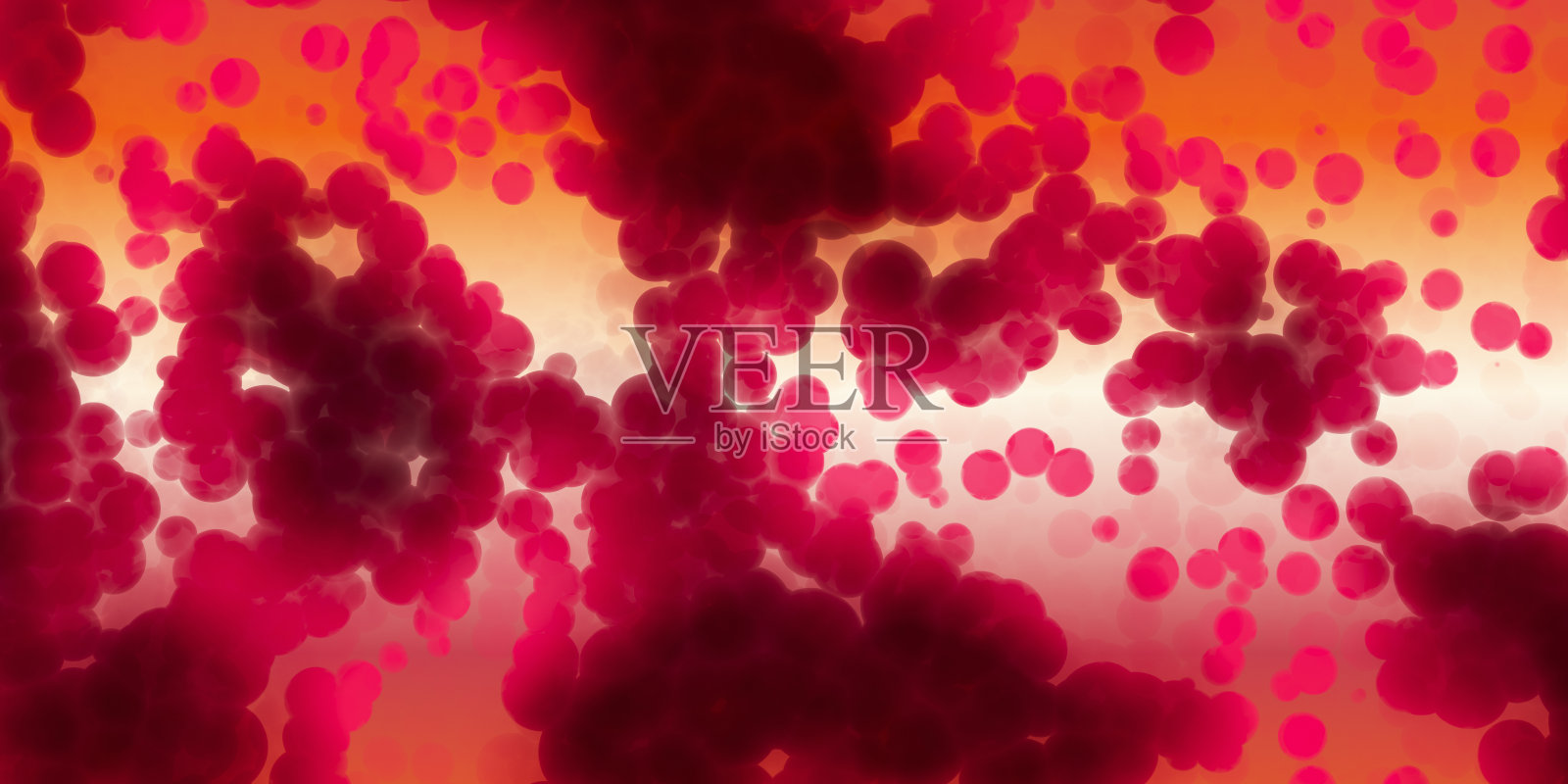 生物细胞结构照片摄影图片