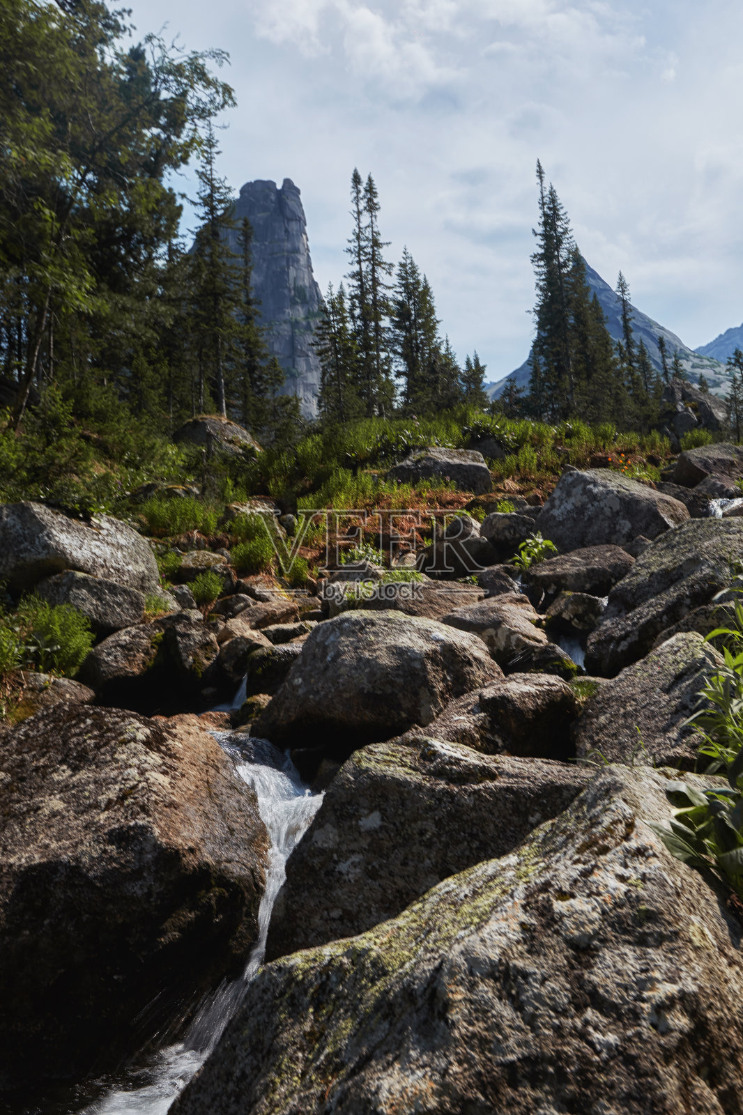美丽的山涧，郁郁葱葱的草木和鲜花环绕。山上解冻的泉水。高山，高山草甸的神奇景色照片摄影图片