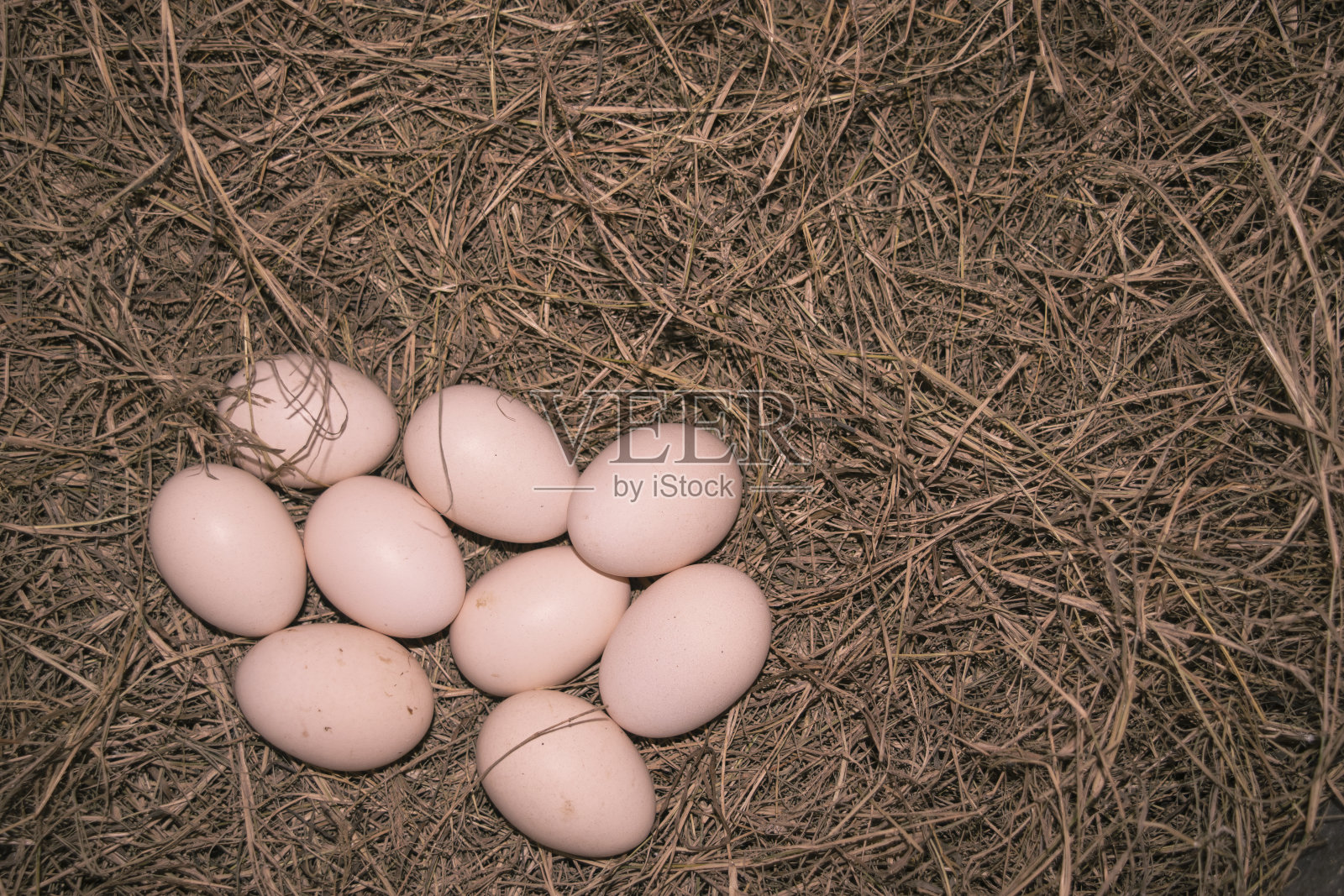 稻草窝上的鸡蛋照片摄影图片