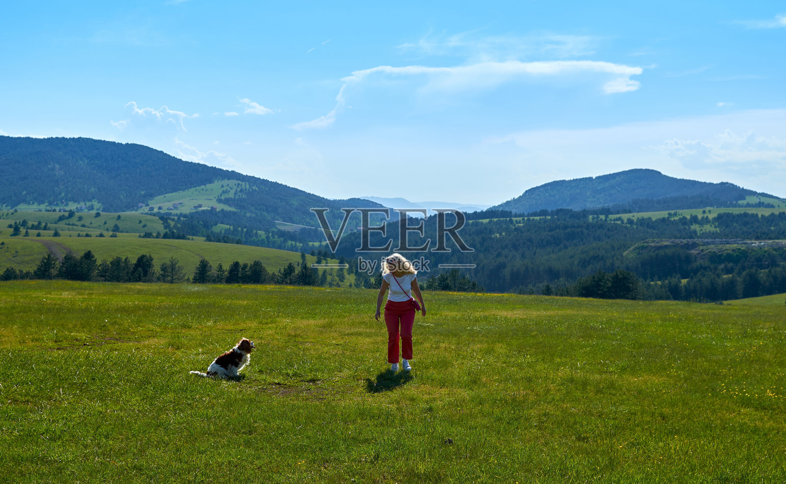 女人和狗享受大自然照片摄影图片