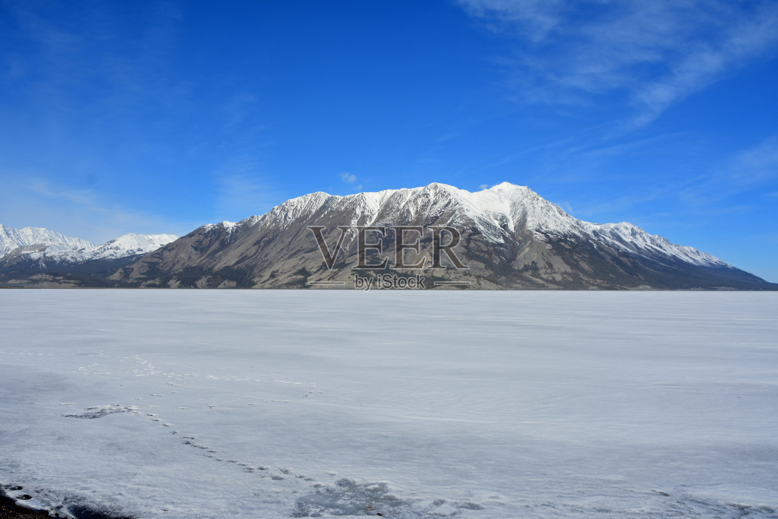 在阿拉斯加高速公路的育空领土部分的公路旅行照片摄影图片