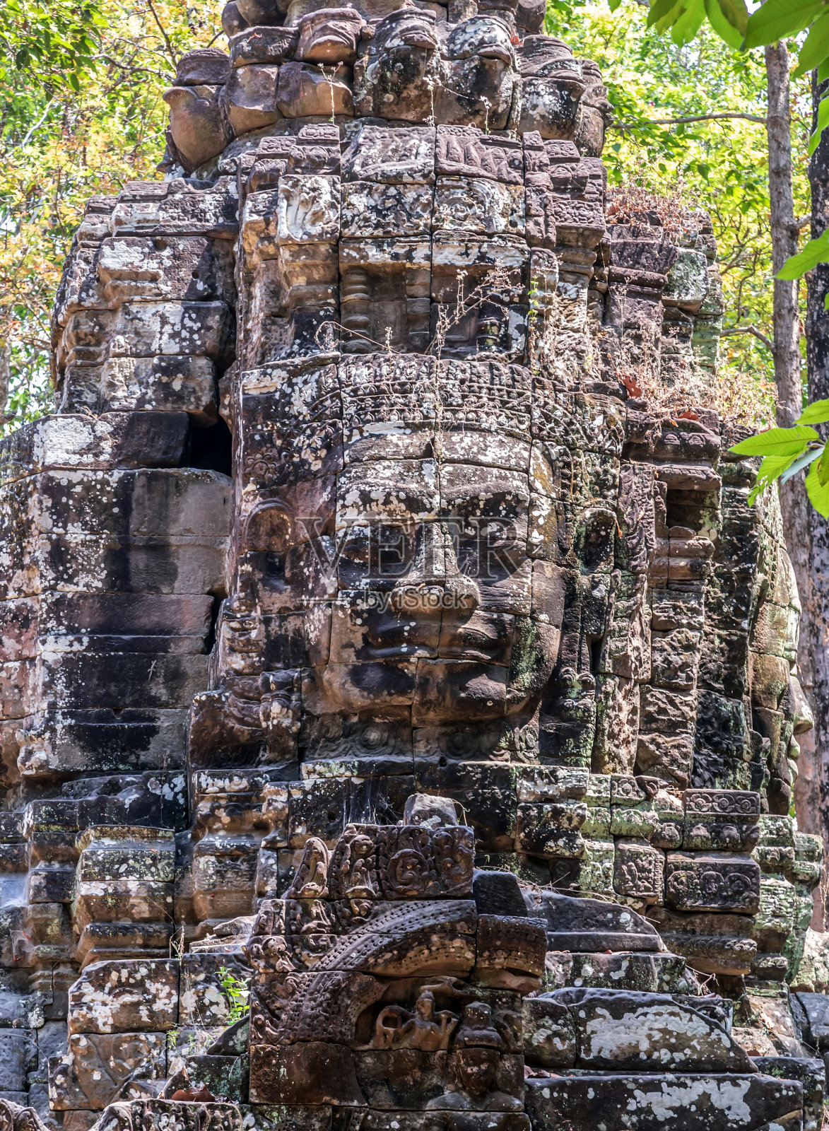 柬埔寨吴哥的印度支那丛林照片摄影图片