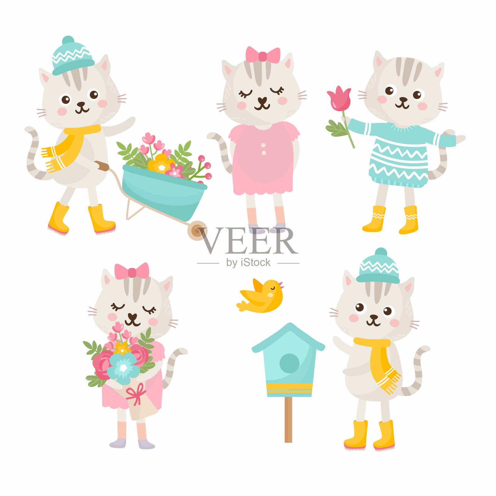 可爱的动物集合。猫用手推车推着花园，给春天捧花，猫用鸟窝，捧花。动物们在春天欢庆。插画图片素材