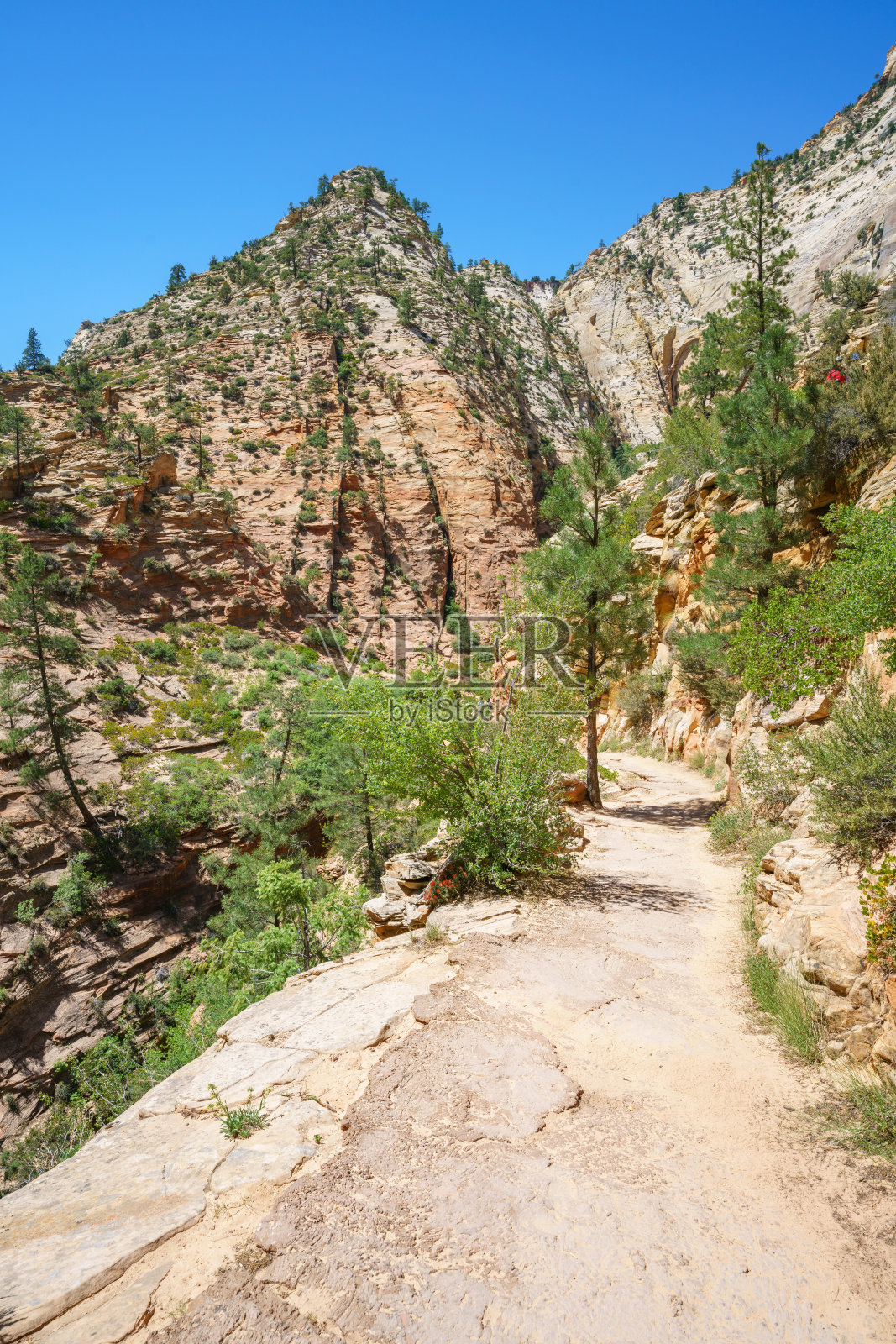 在美国锡安国家公园观测点步道徒步照片摄影图片