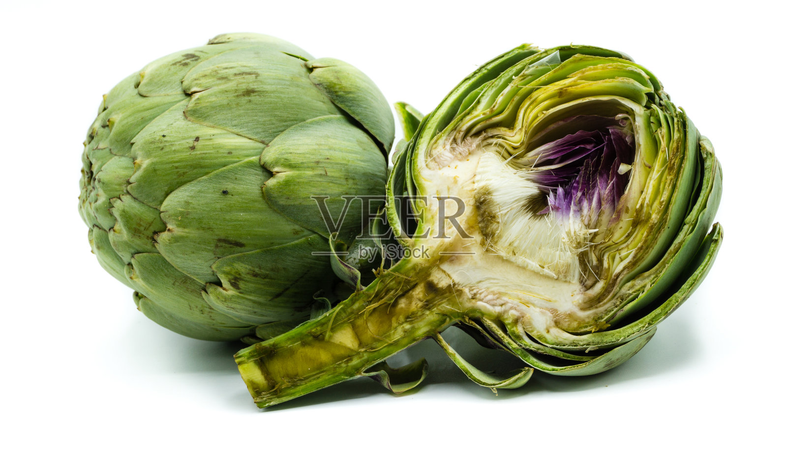 孤立在白色背景上的朝鲜蓟照片摄影图片