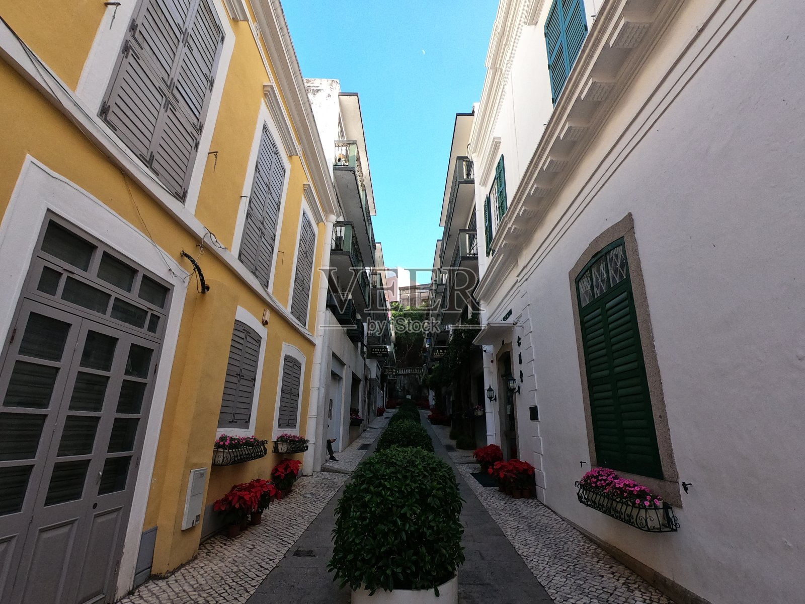 澳门的街景照片摄影图片