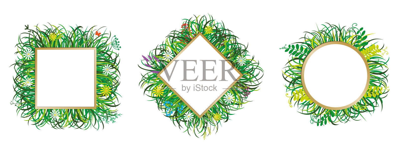 用草和花装饰的框架。绿色的草与开花的草本植物和雏菊的细枝。插画图片素材