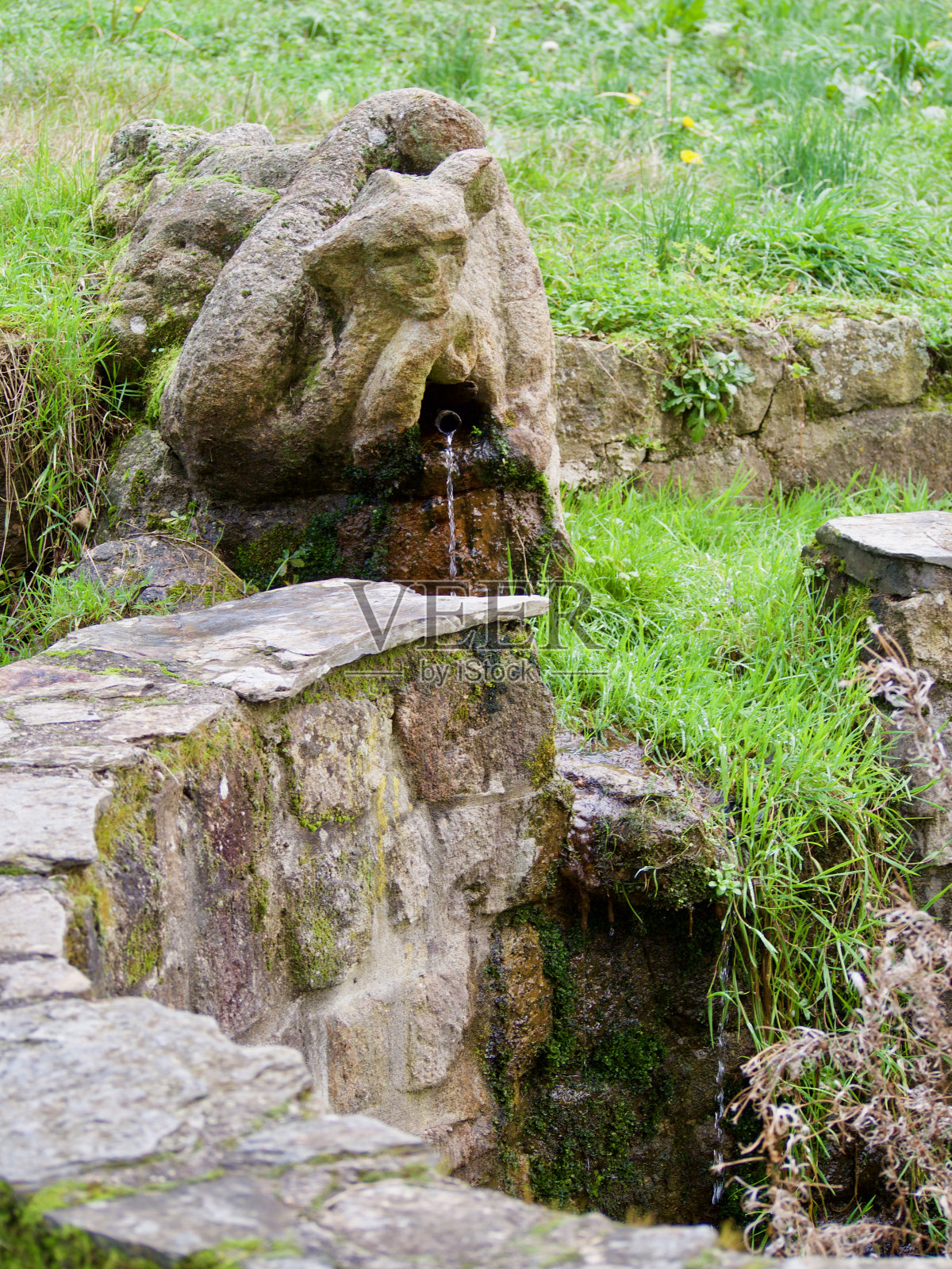 劳拉就住在上面照片摄影图片