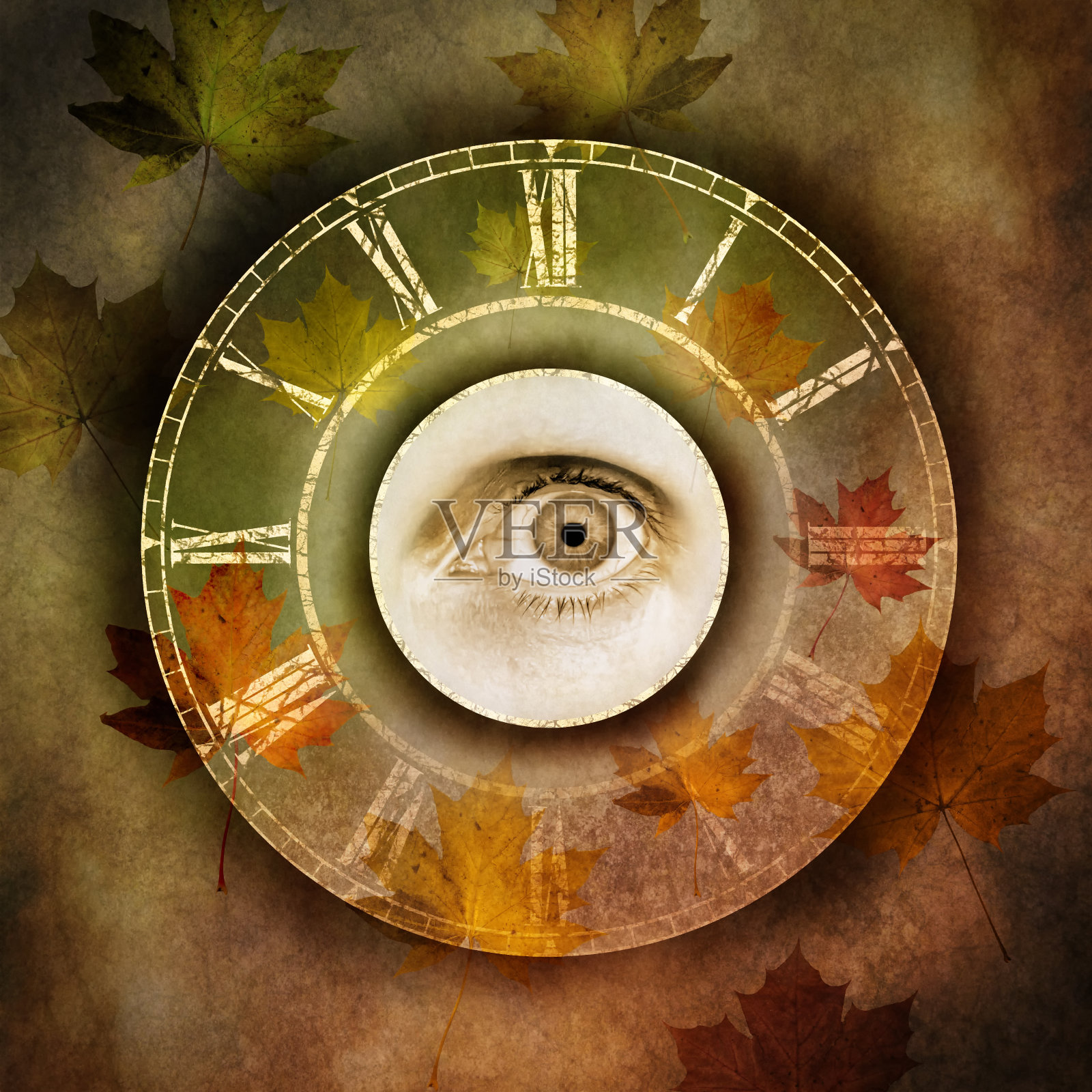 季节变化照片摄影图片