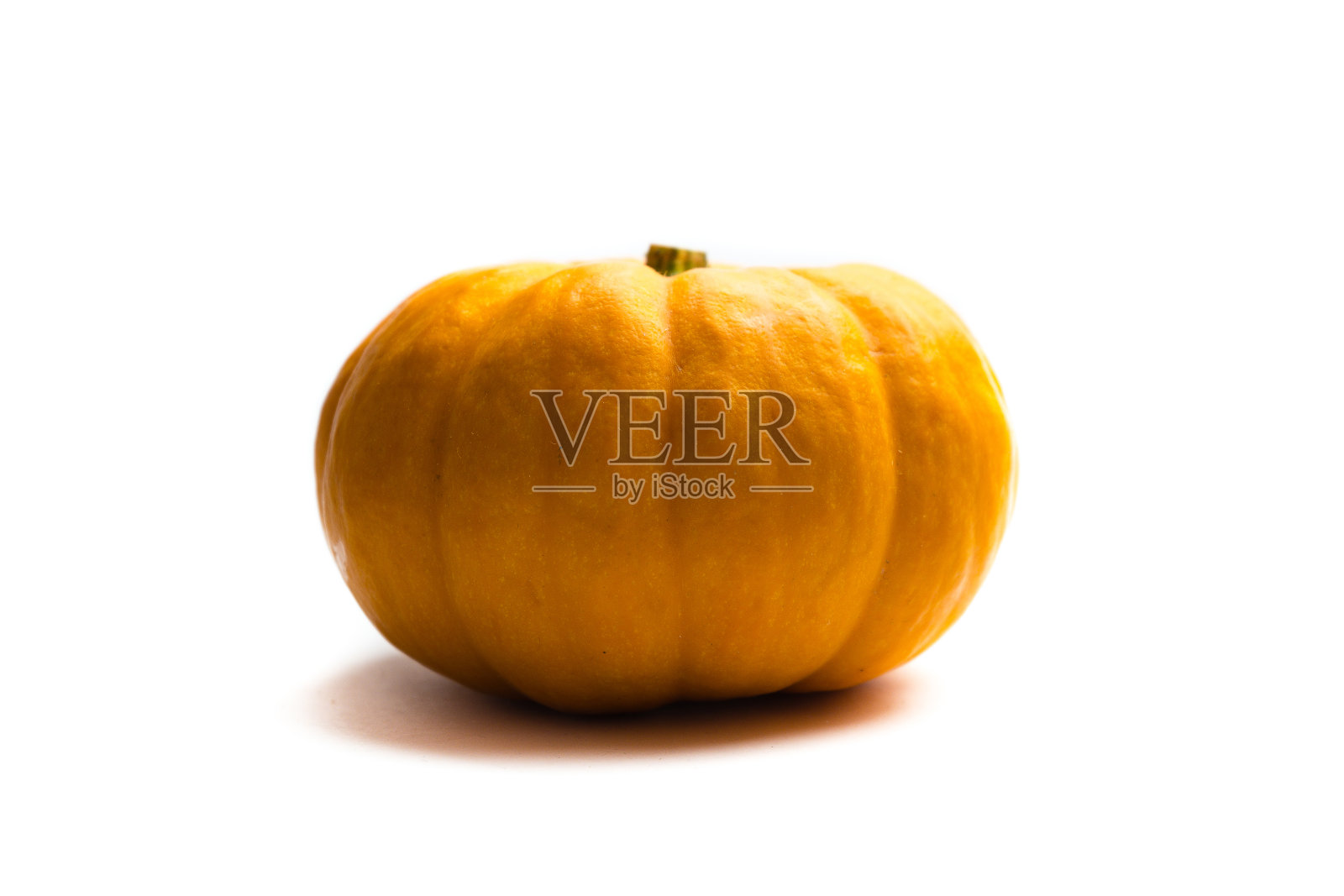 在白色背景上孤立的橙色观赏南瓜照片摄影图片