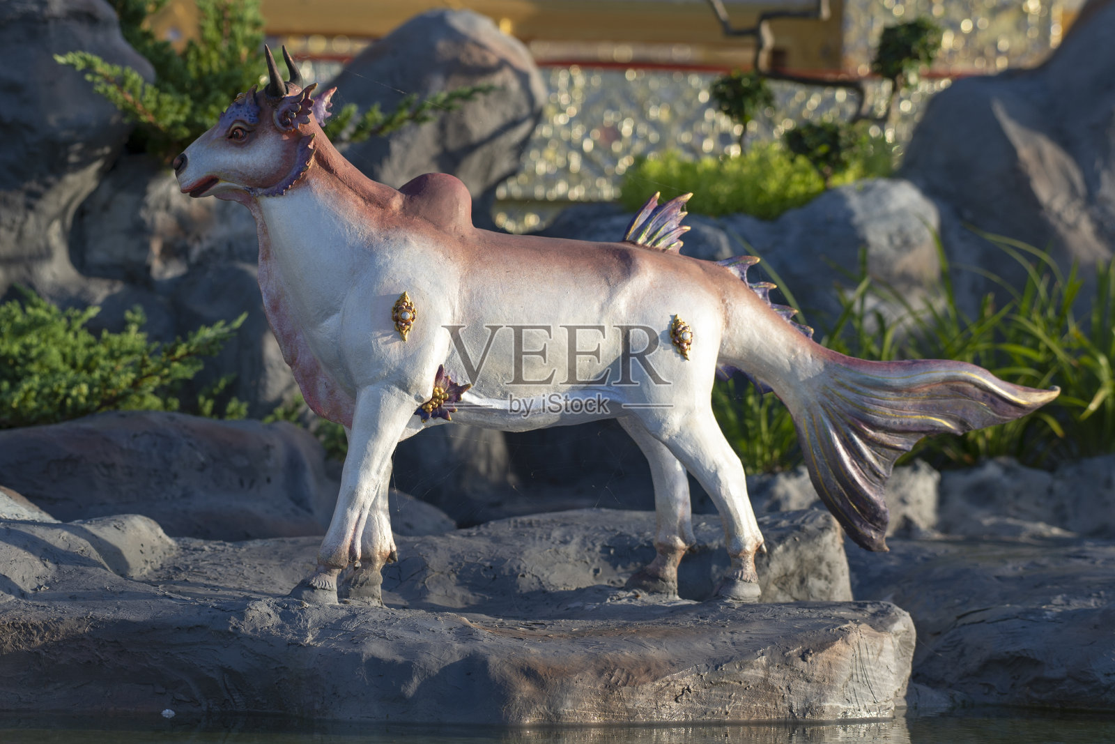 Himmapan生物动物照片摄影图片