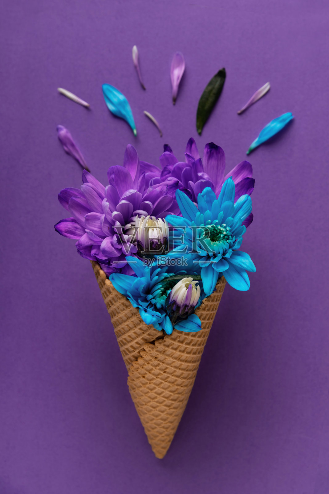 插花艺术照片摄影图片