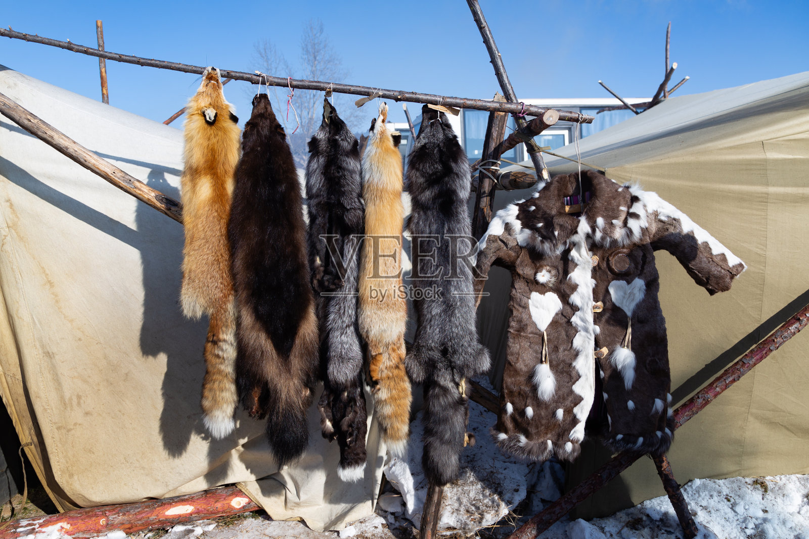 皮草挂在树枝上照片摄影图片