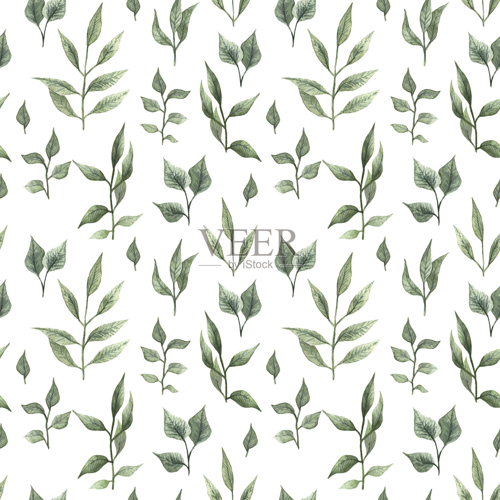 水彩无缝图案与绿叶插画图片素材