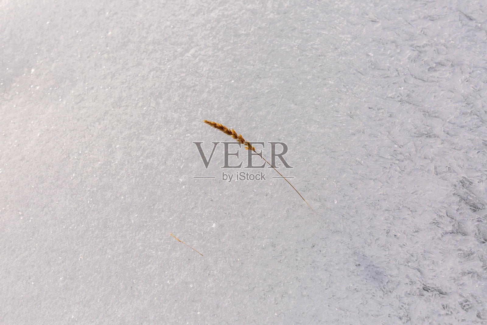 自然冰图案背景与草照片摄影图片