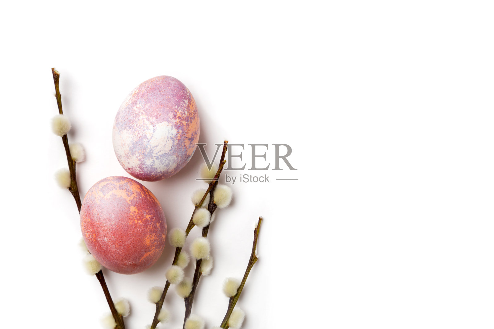 白色的树枝孤立的复活节蛋照片摄影图片