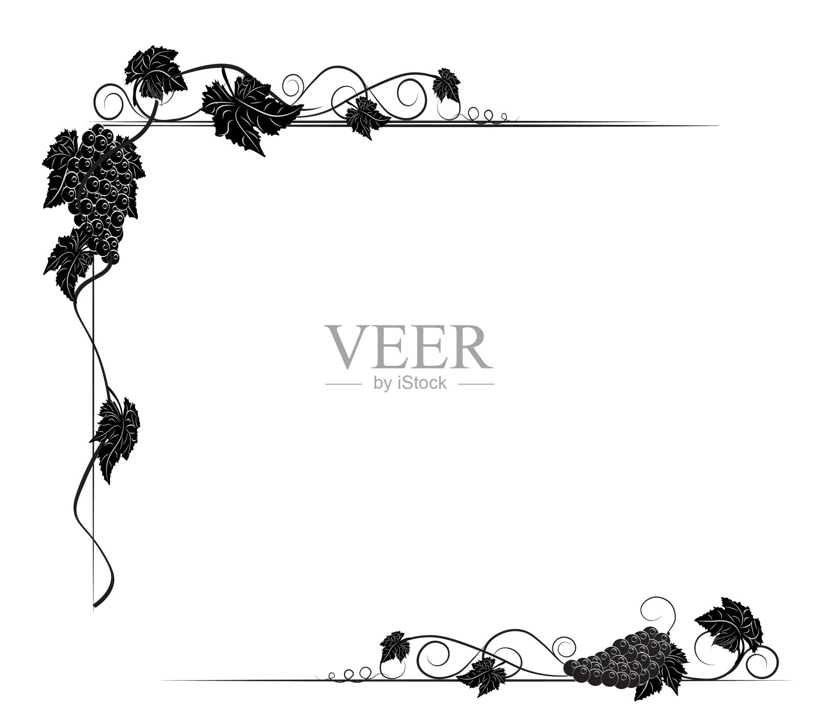 葡萄框架插画图片素材