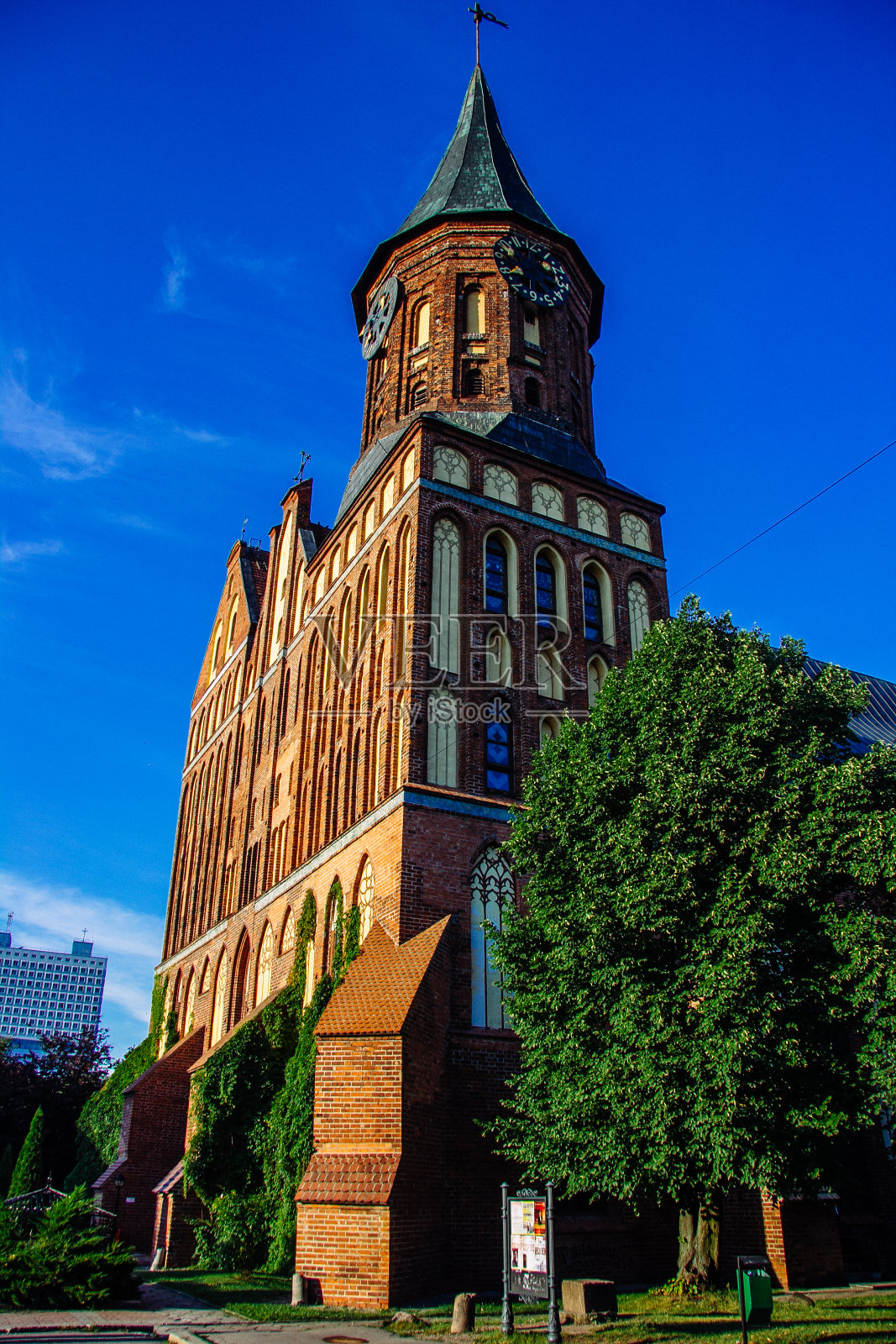 加里宁格勒康德岛修复大教堂照片摄影图片