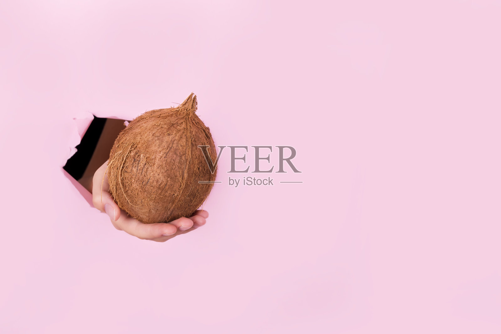 女人手拿透过粉色破墙的大椰子，提供生物有机食品，零浪费照片摄影图片