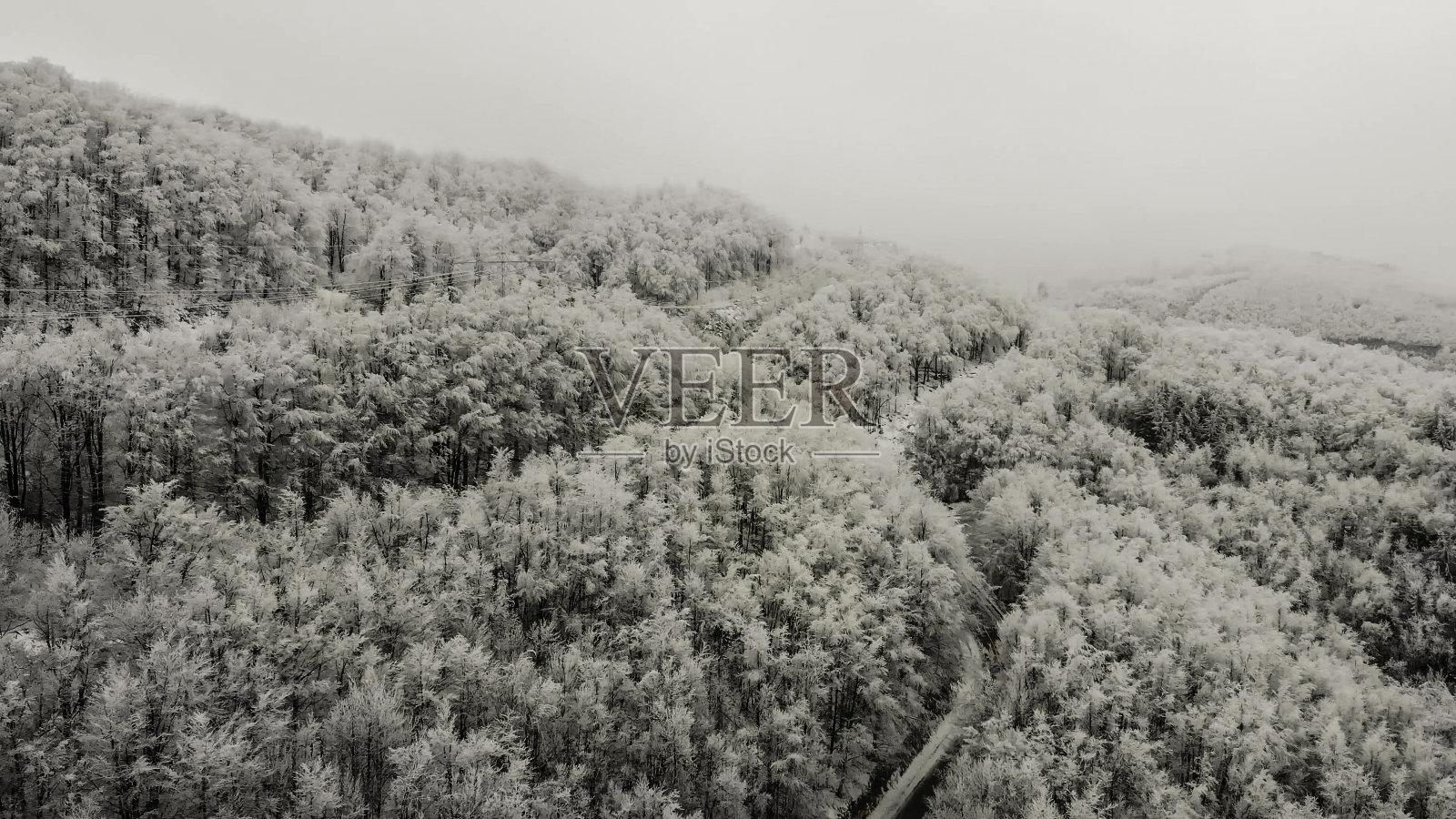 冰冻的冬天森林照片摄影图片