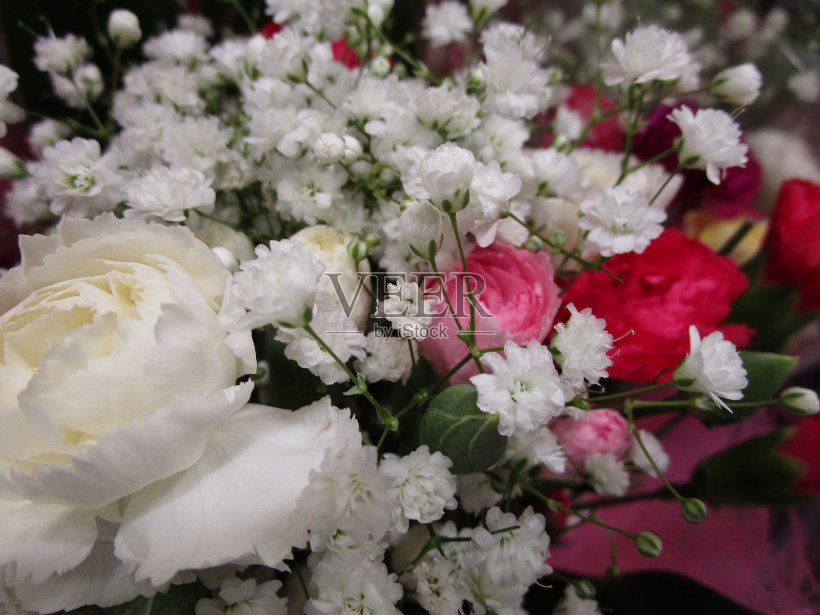 鲜艳的康乃馨和婴儿呼吸花束照片摄影图片