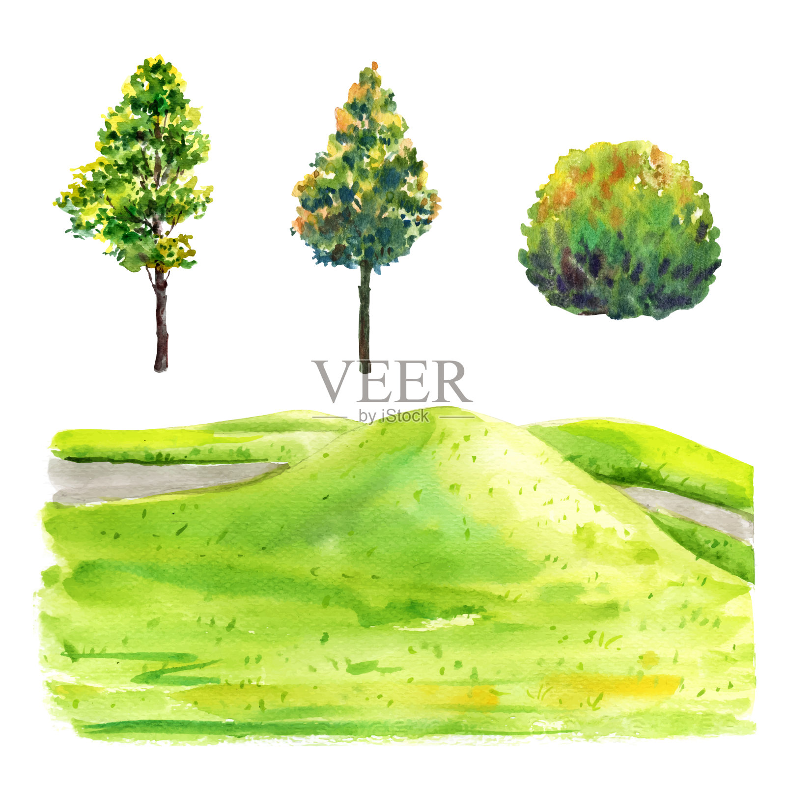 树，场地设计孤立的水彩插图在白色的背景。设计元素图片