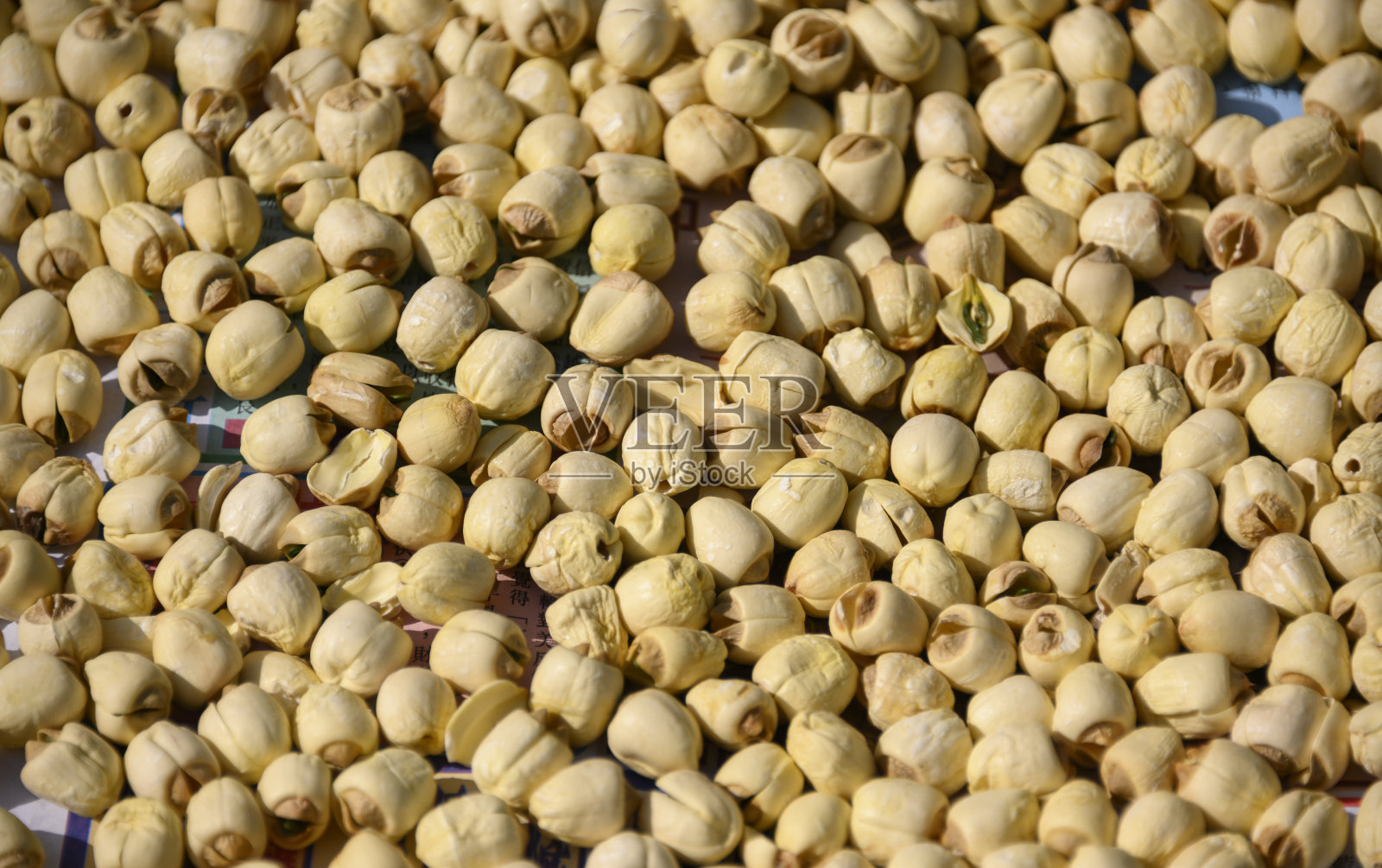 莲子照片摄影图片