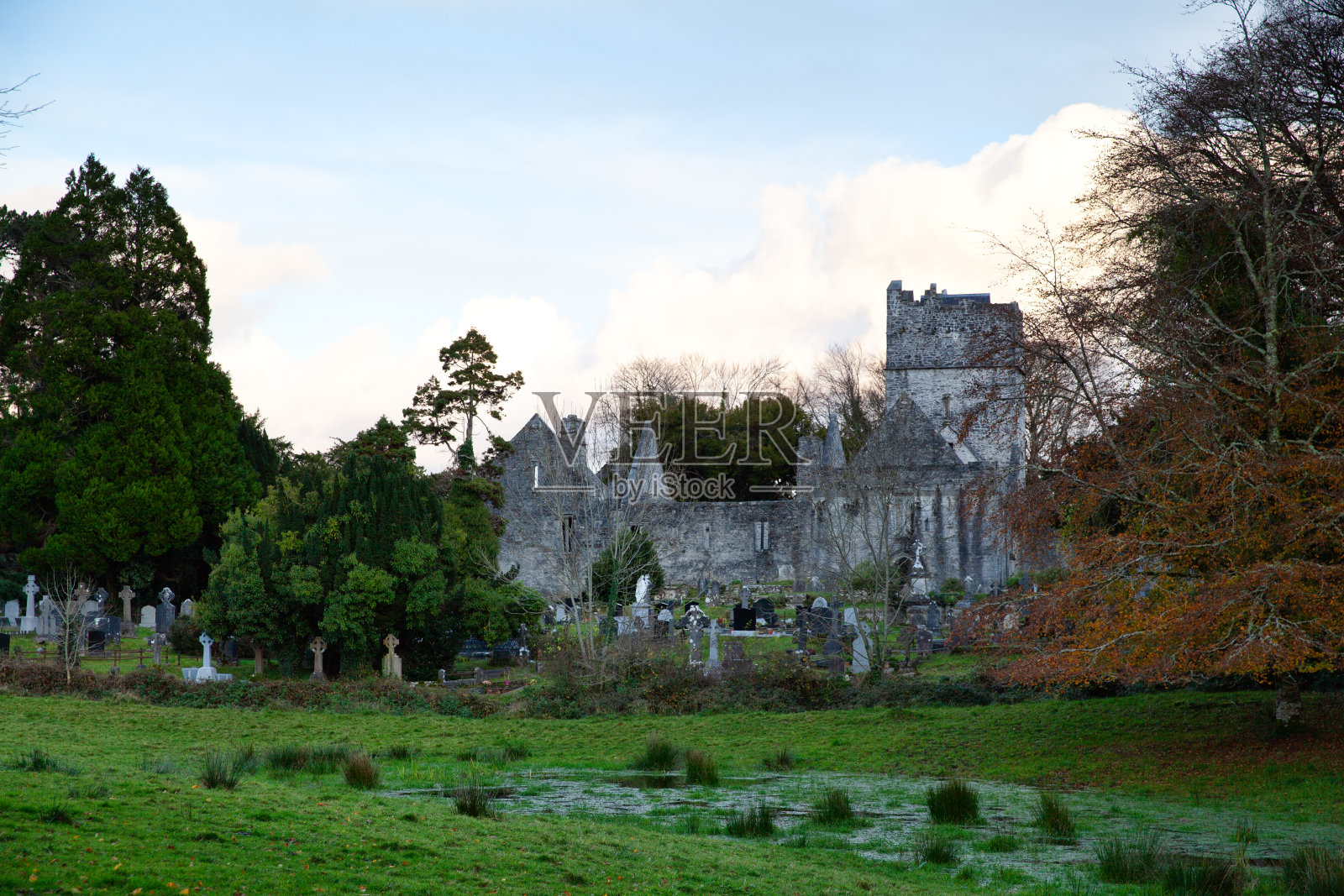 Muckross修道院，爱尔兰，英国照片摄影图片